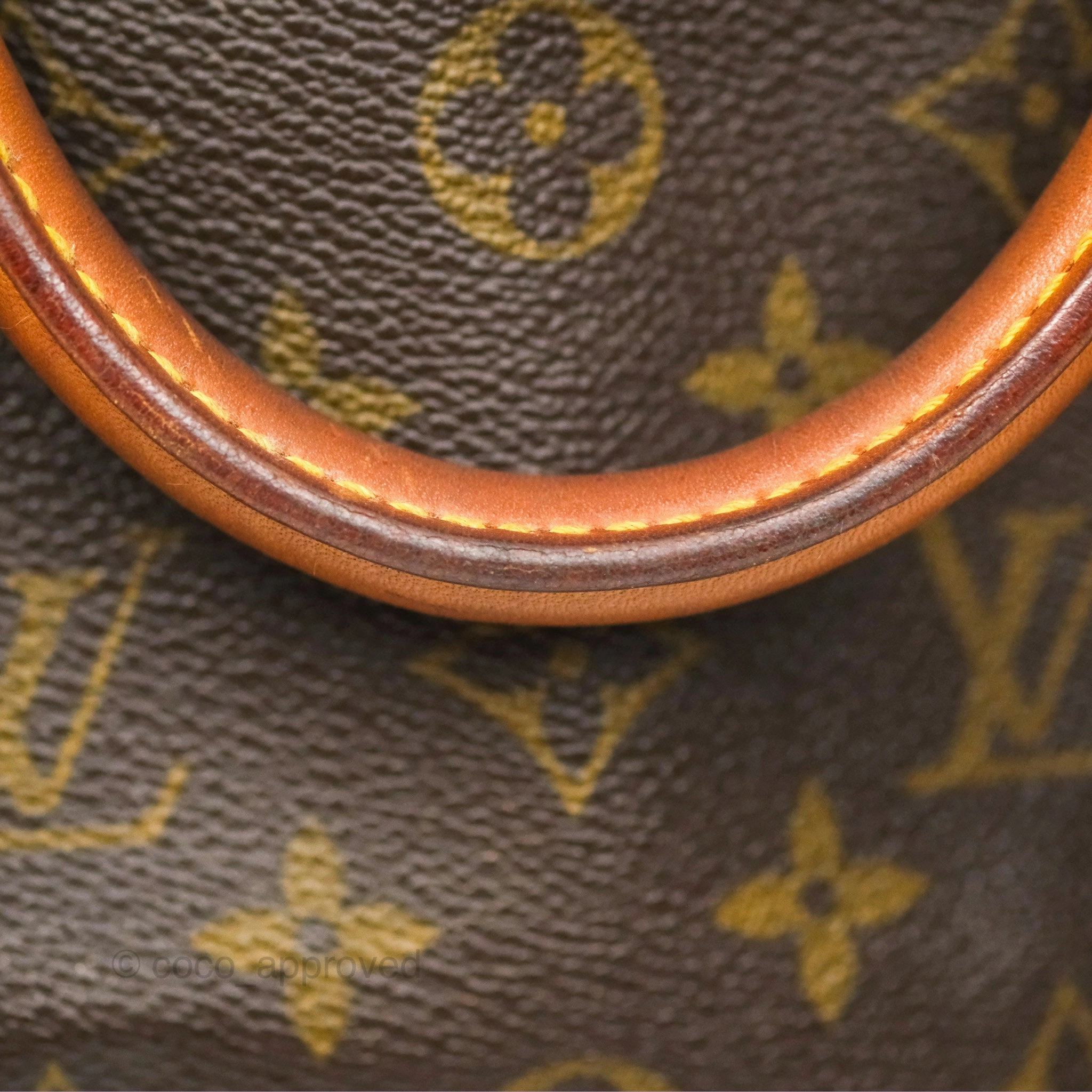 Louis Vuitton Speedy 30 Monogram Canvas