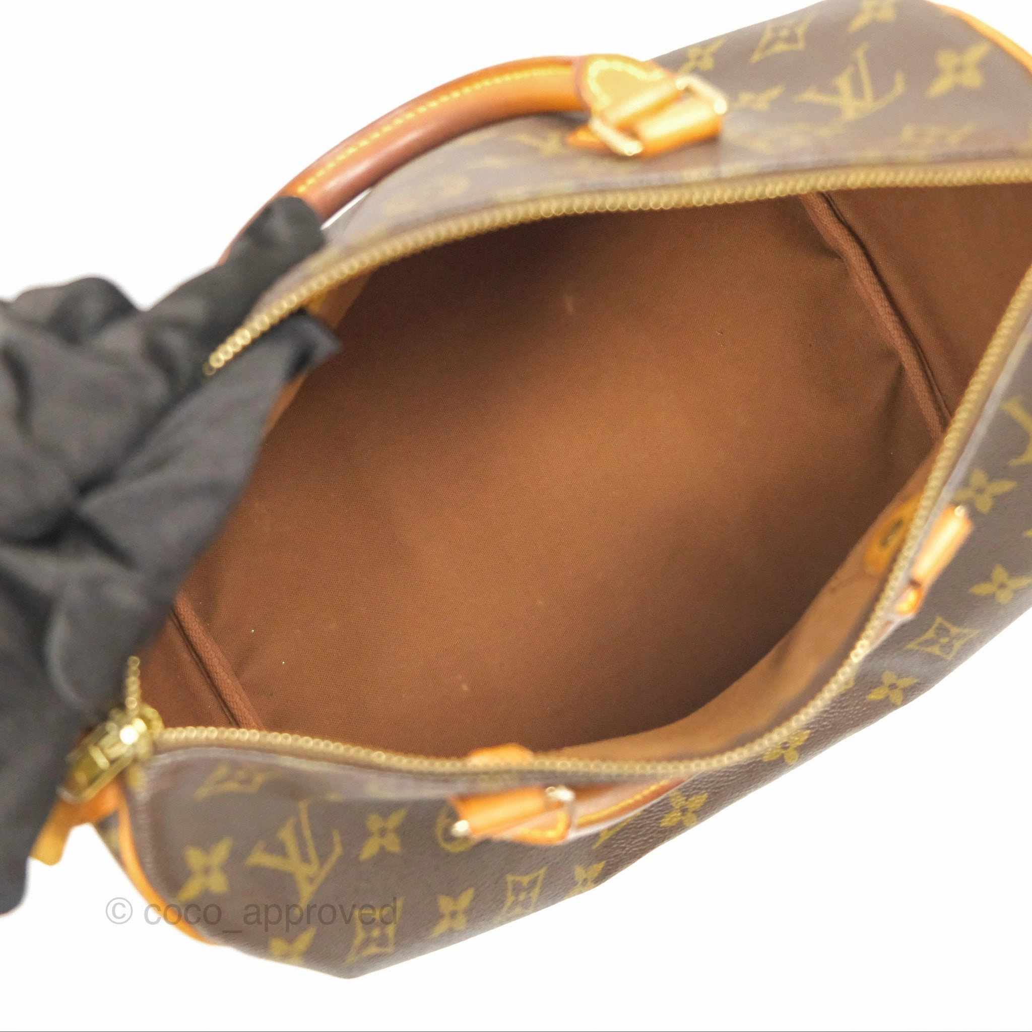 Louis Vuitton Speedy 30 Monogram Canvas