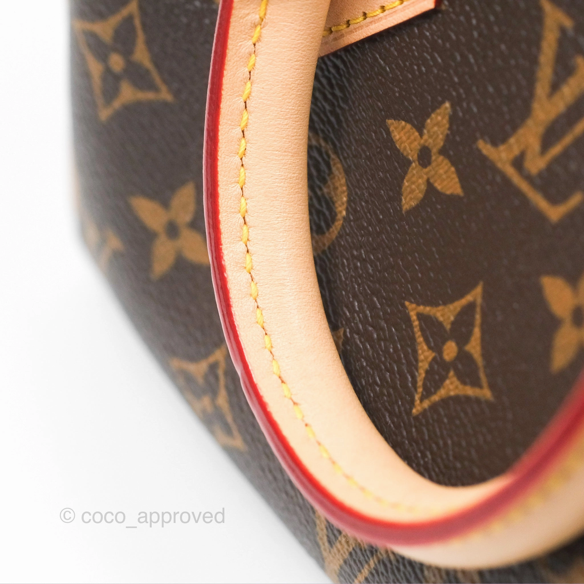 Louis Vuitton Speedy Bandoulire 20 Monogram
