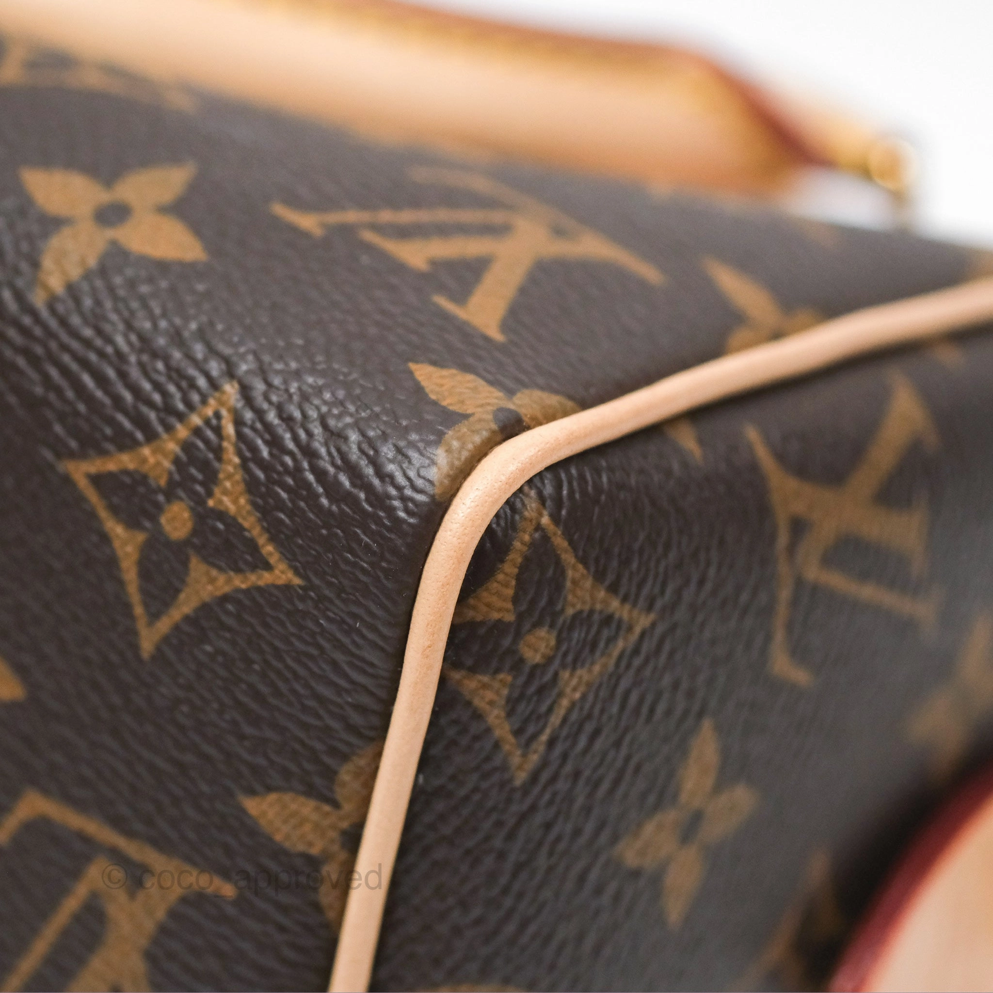 Louis Vuitton Speedy Bandoulire 20 Monogram