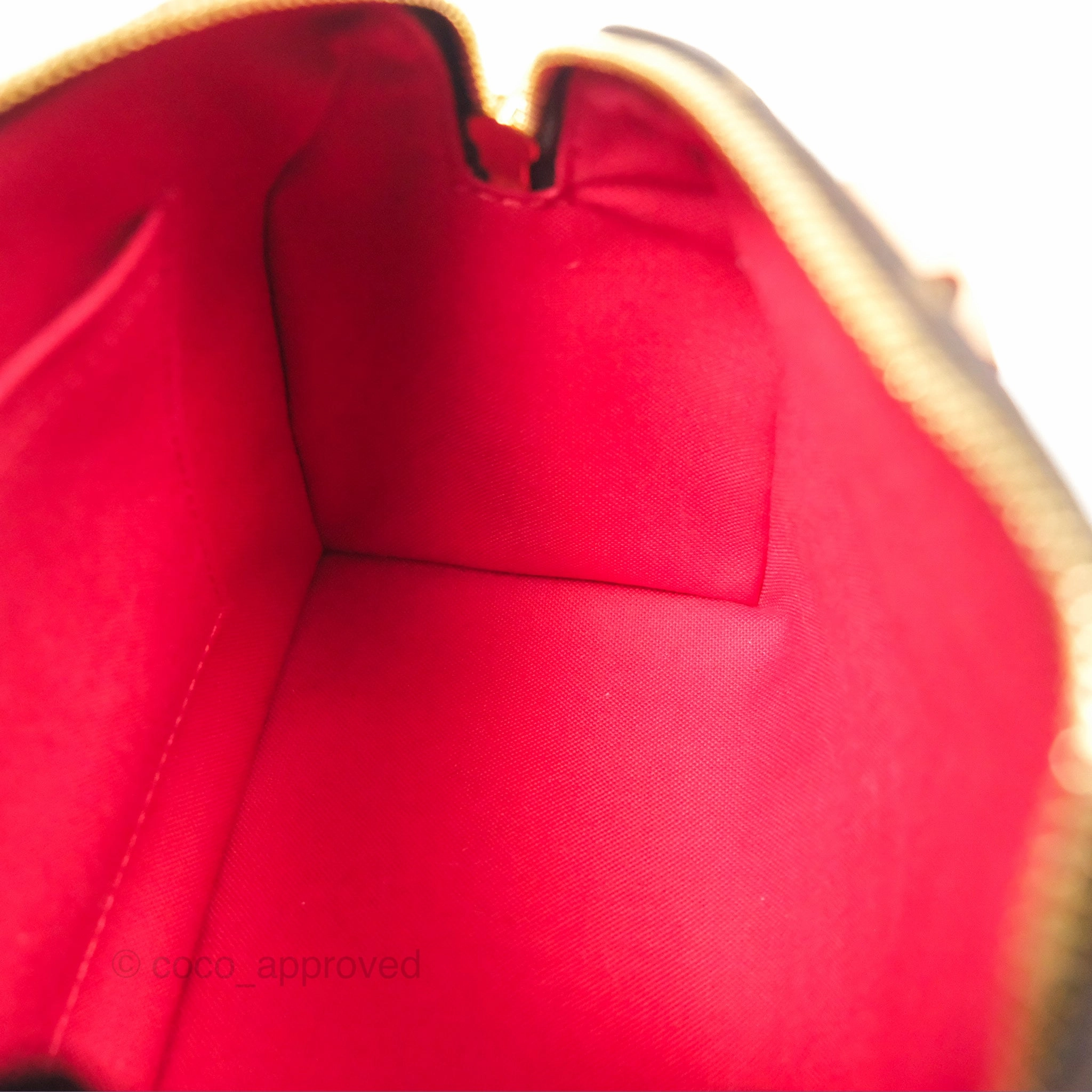 Louis Vuitton Speedy Bandoulire 20 Monogram