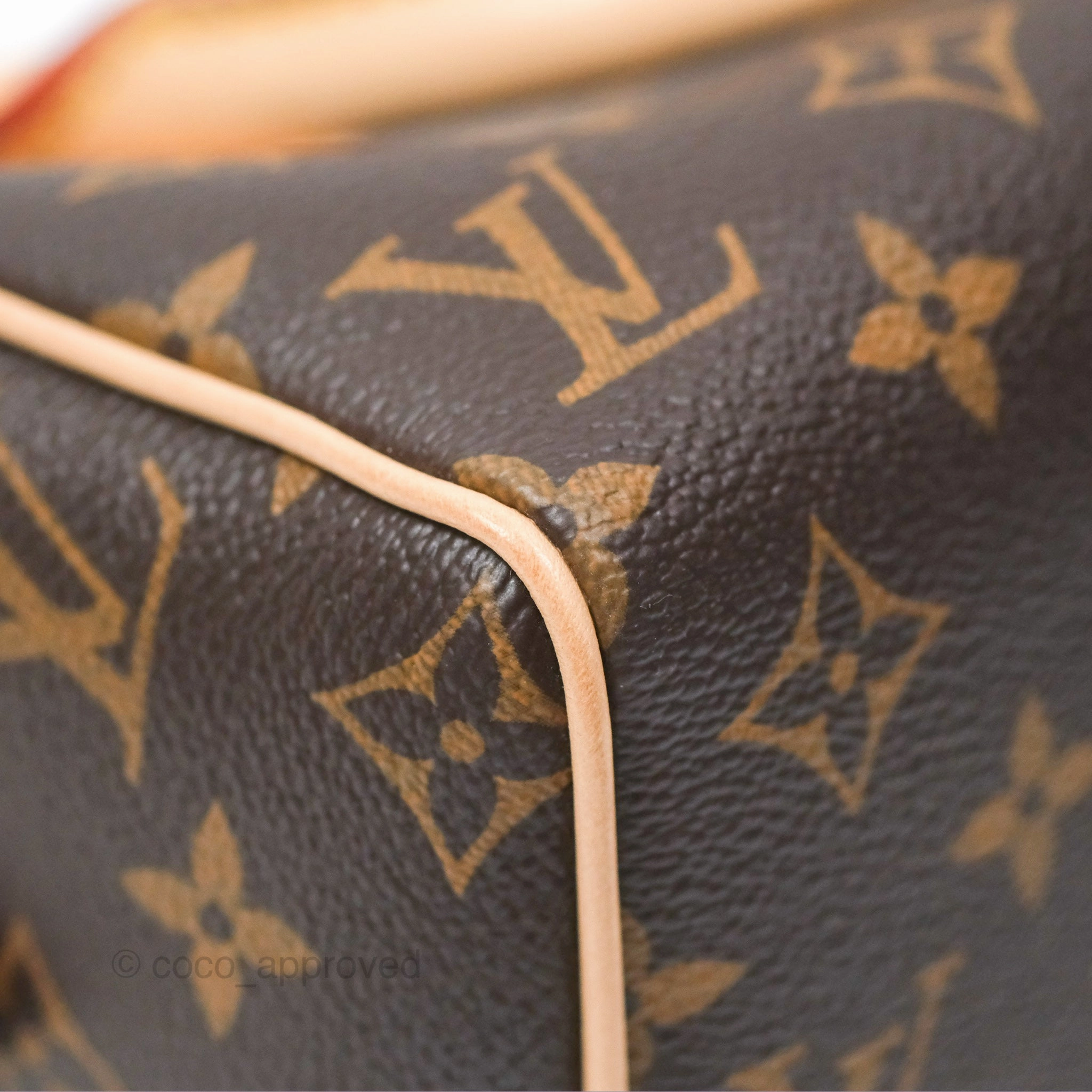 Louis Vuitton Speedy Bandoulire 20 Monogram
