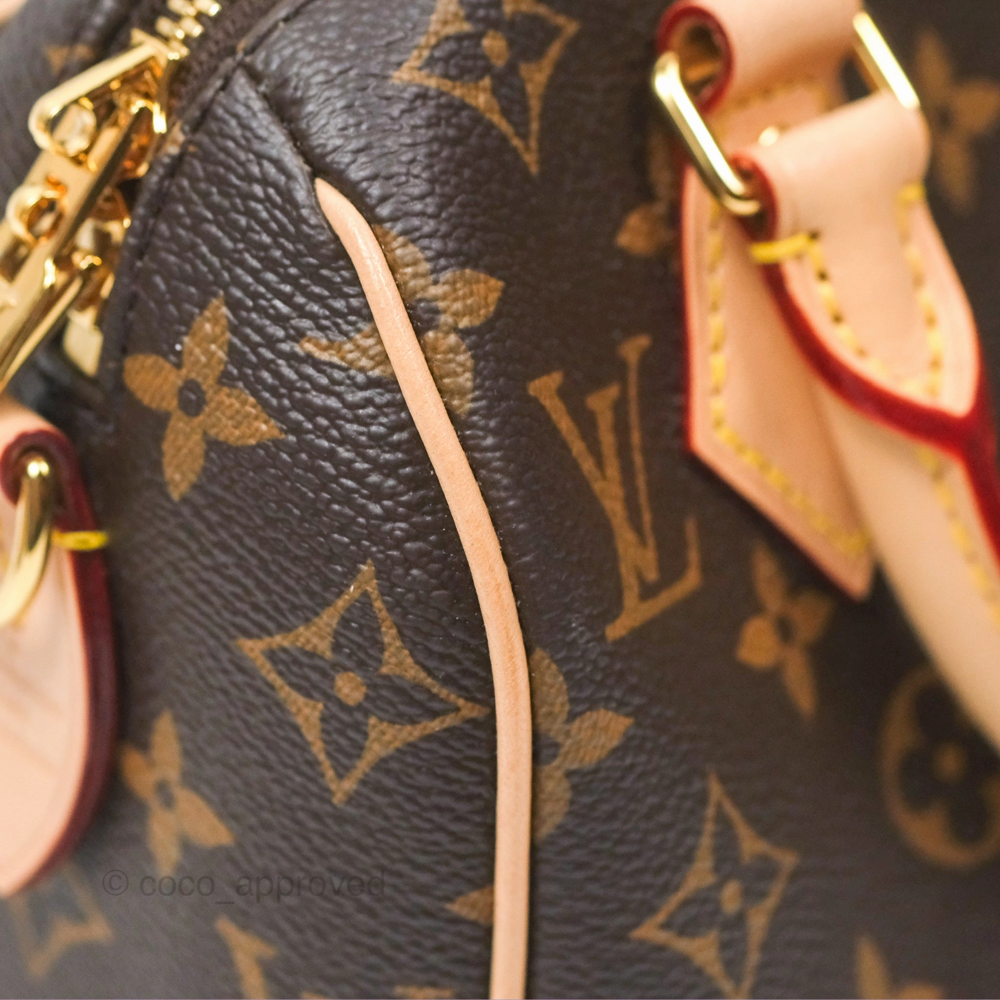 Louis Vuitton Speedy Bandoulire 20 Monogram