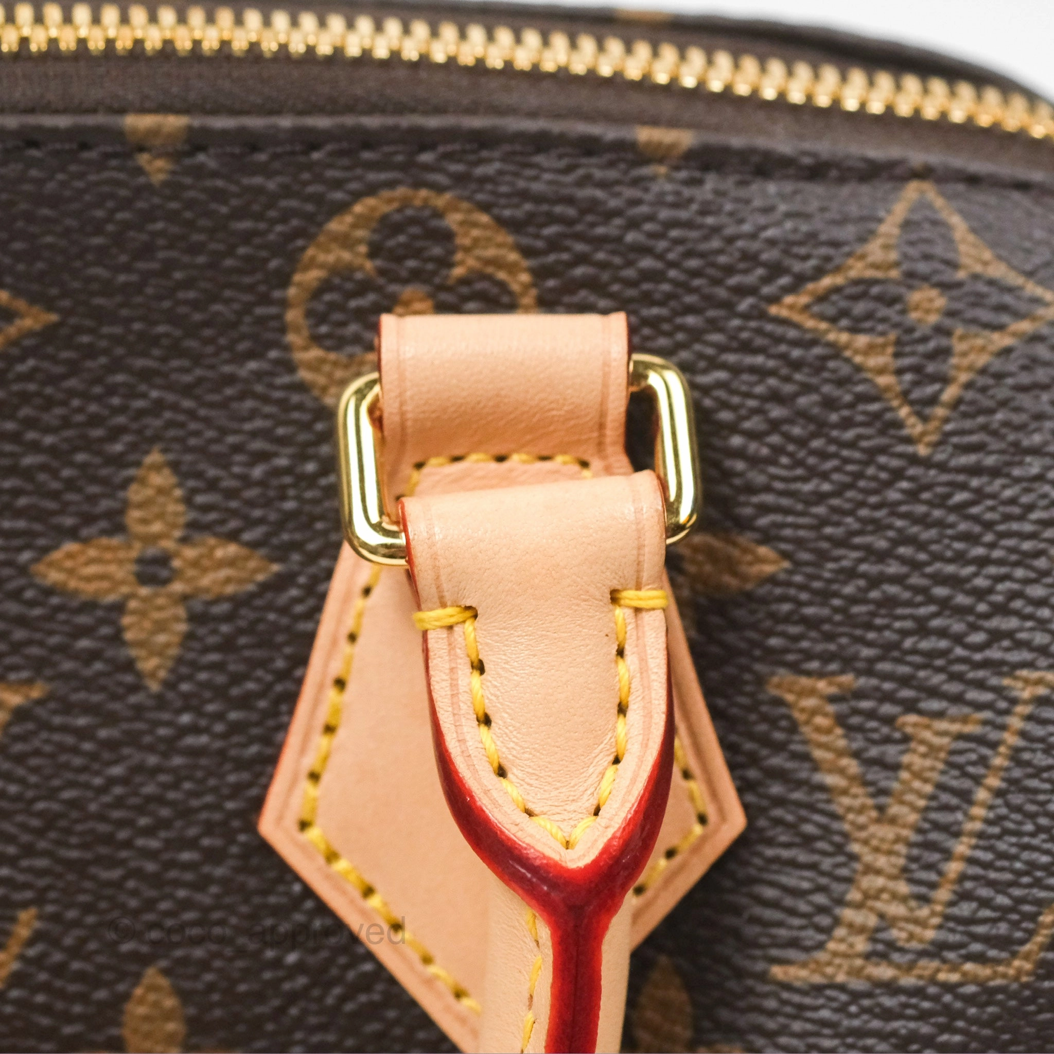 Louis Vuitton Speedy Bandoulire 20 Monogram