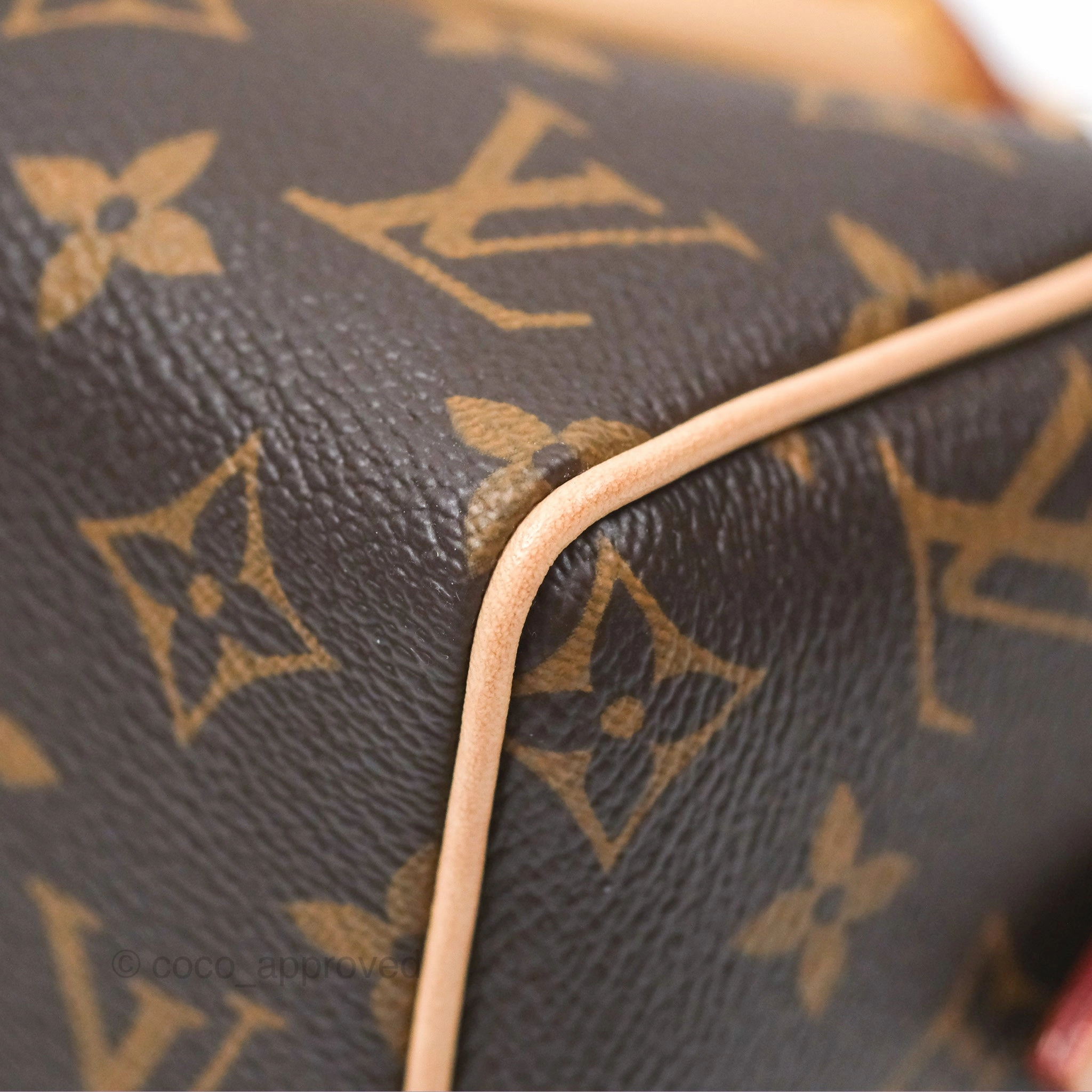 Louis Vuitton Speedy Bandoulire 20 Monogram
