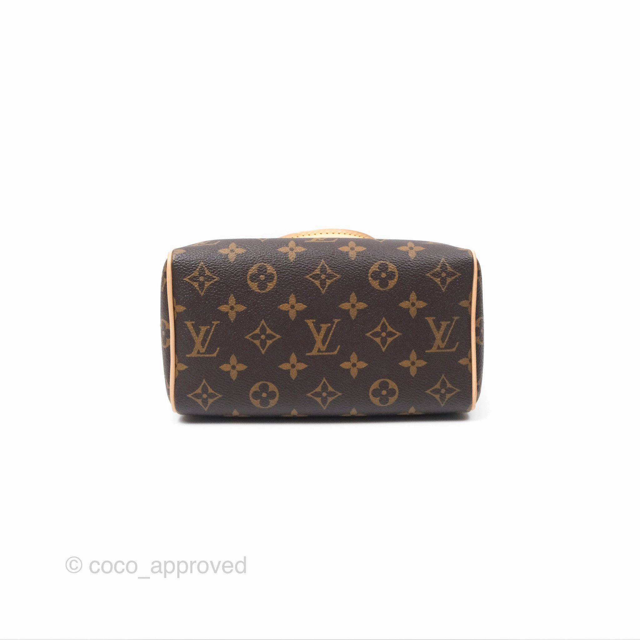 Louis Vuitton Speedy Bandoulire 20 Monogram