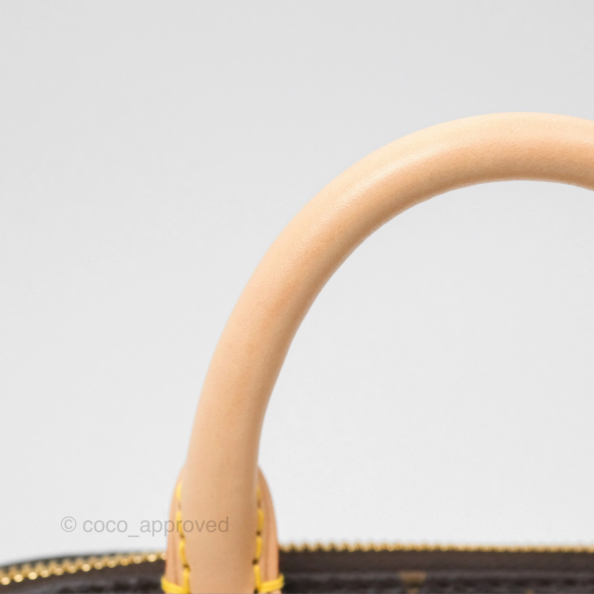 Louis Vuitton Speedy Bandoulire 20 Monogram