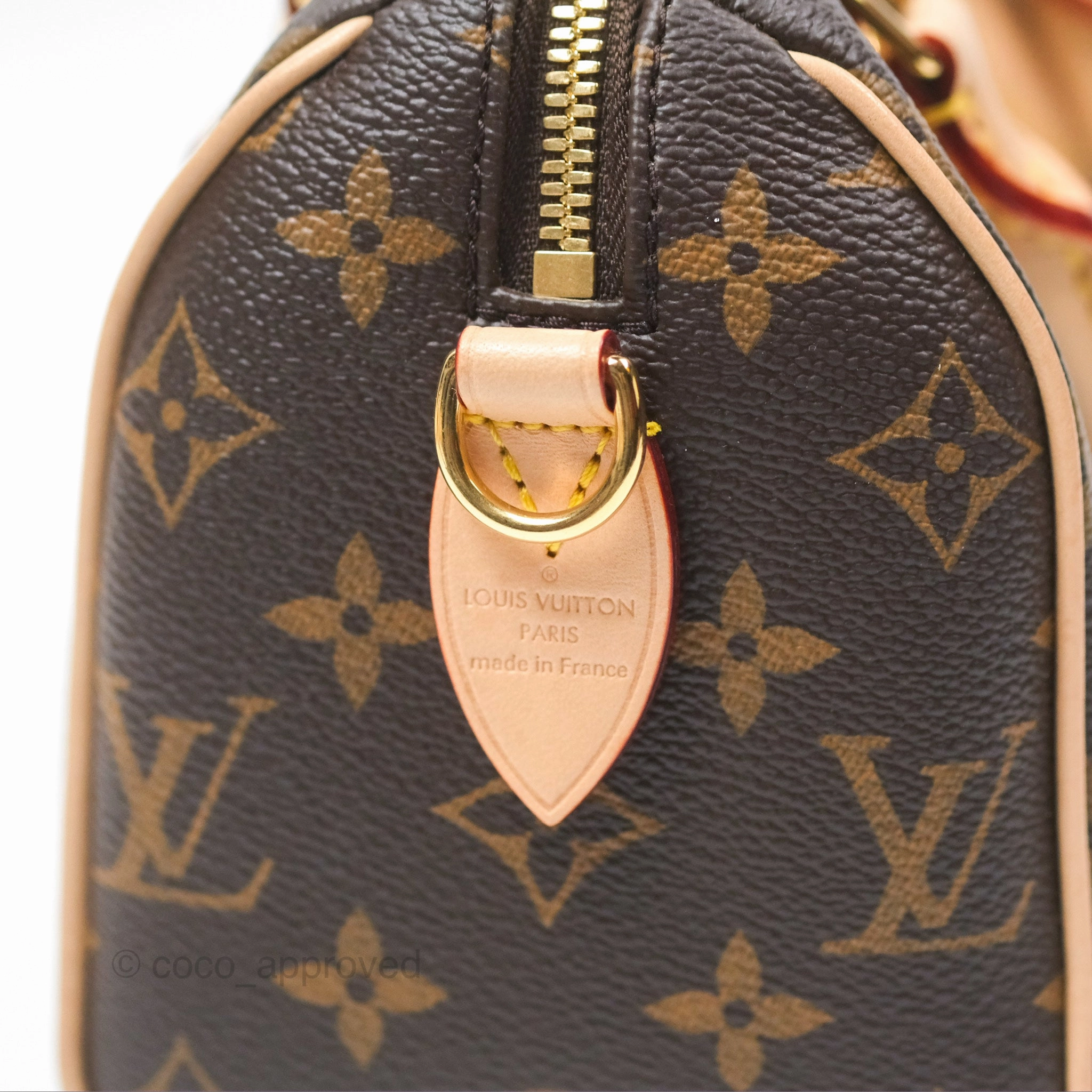 Louis Vuitton Speedy Bandoulire 20 Monogram