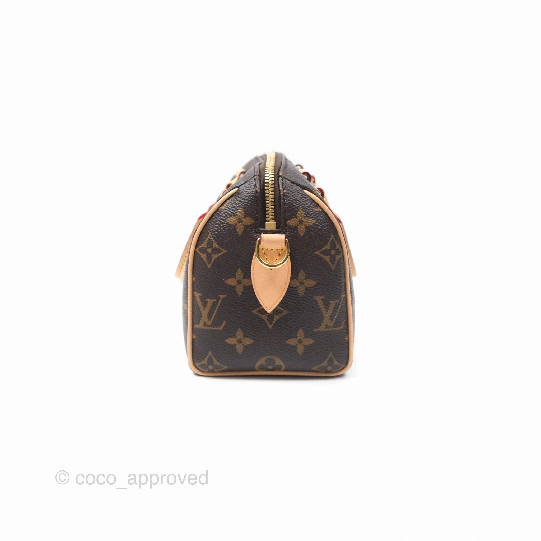 Louis Vuitton Speedy Bandoulire 20 Monogram