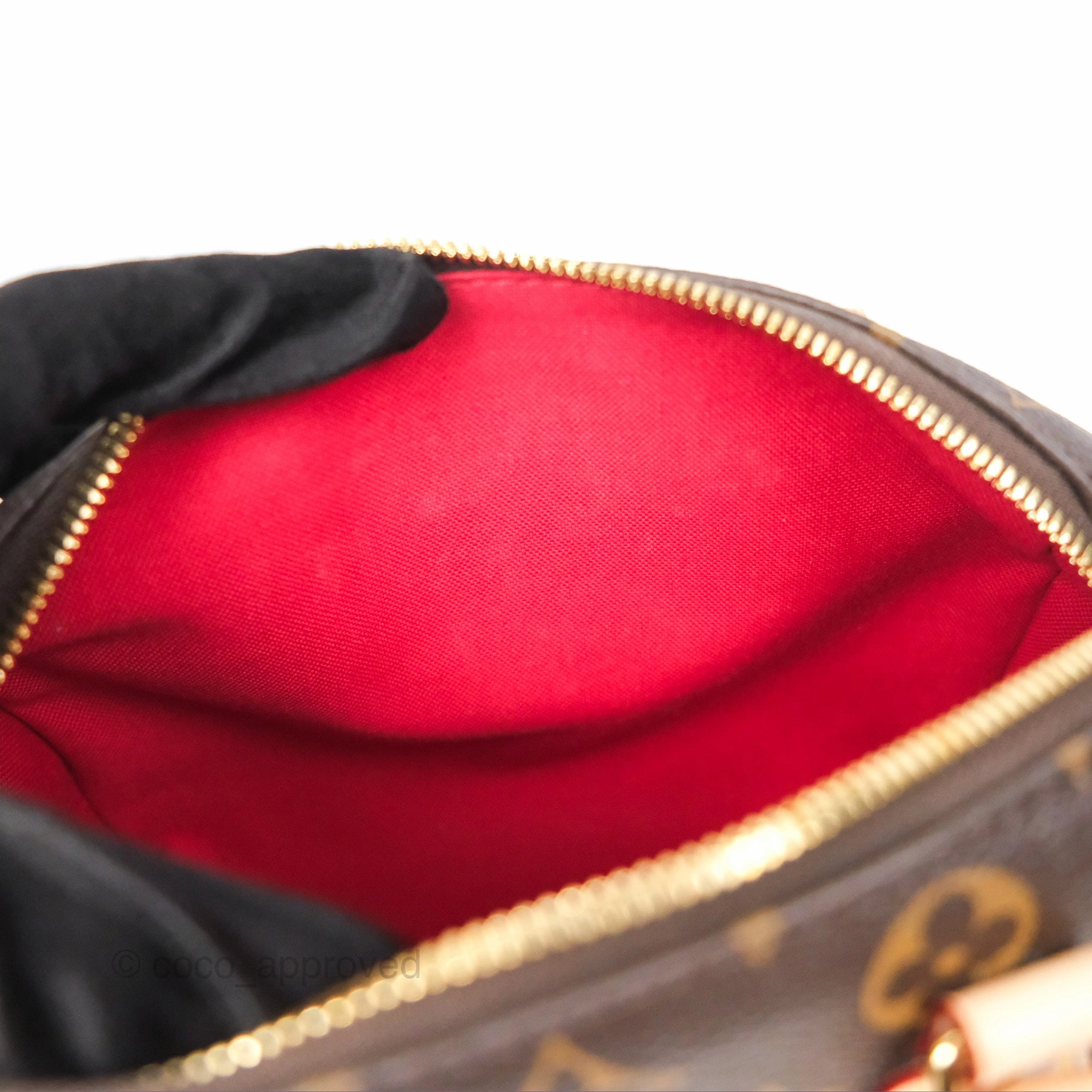 Louis Vuitton Speedy Bandoulire 20 Monogram