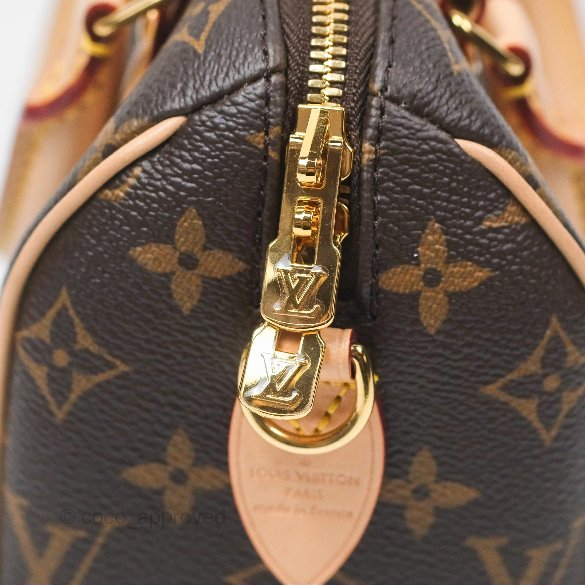 Louis Vuitton Speedy Bandoulire 20 Monogram