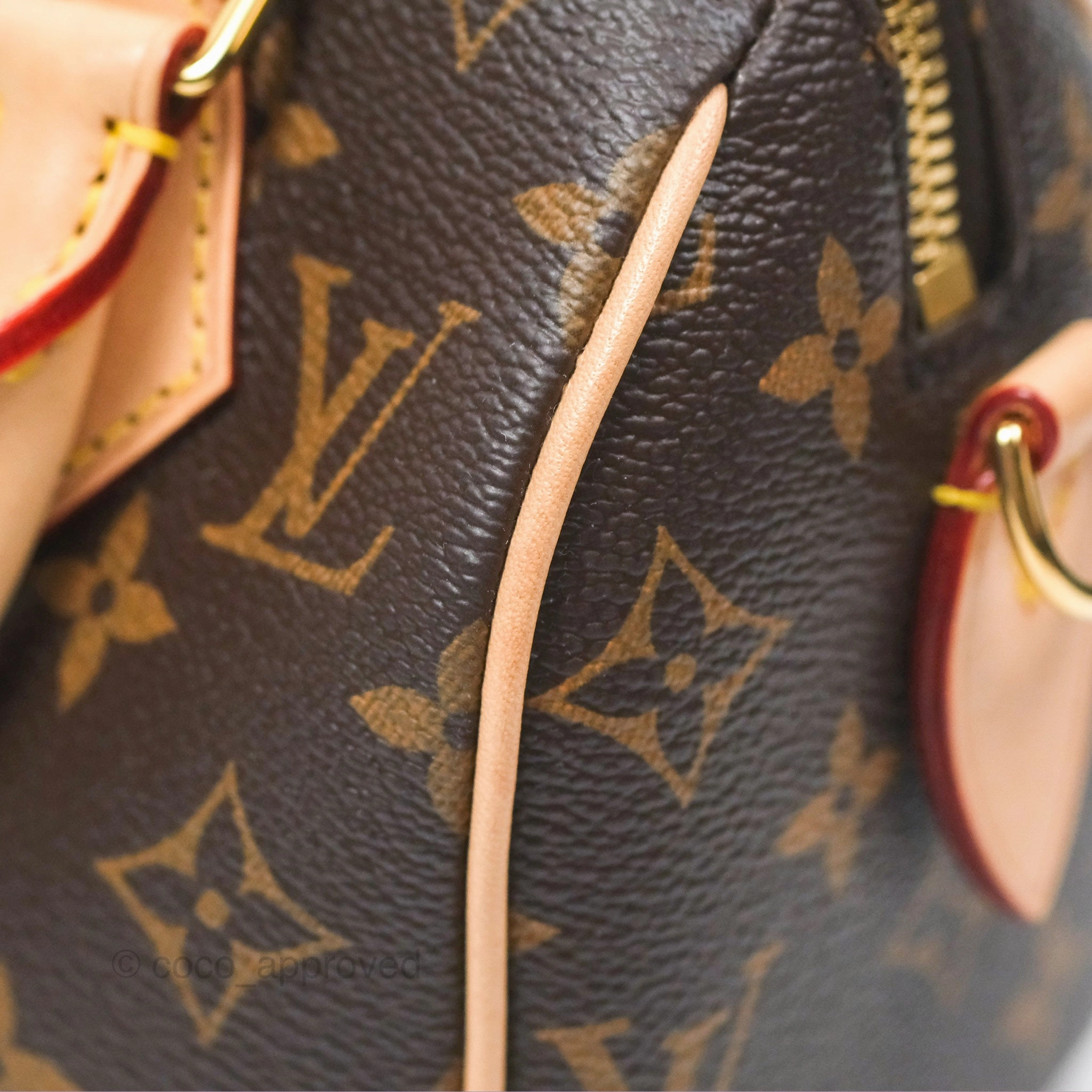 Louis Vuitton Speedy Bandoulire 20 Monogram