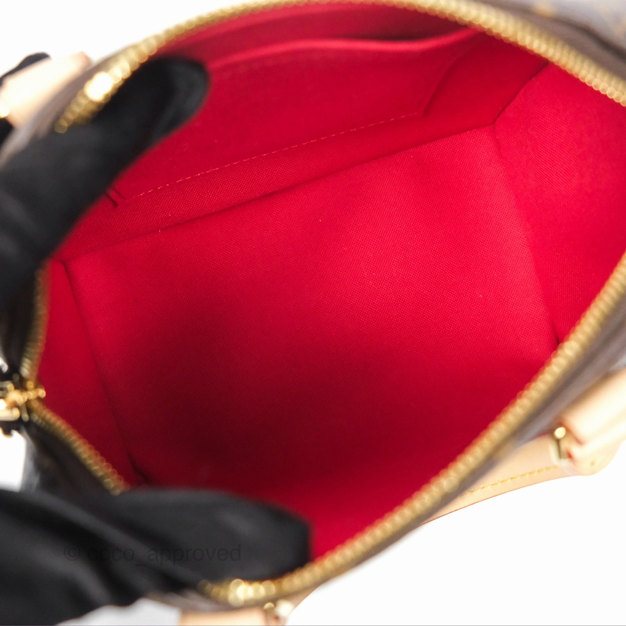 Louis Vuitton Speedy Bandoulire 20 Monogram