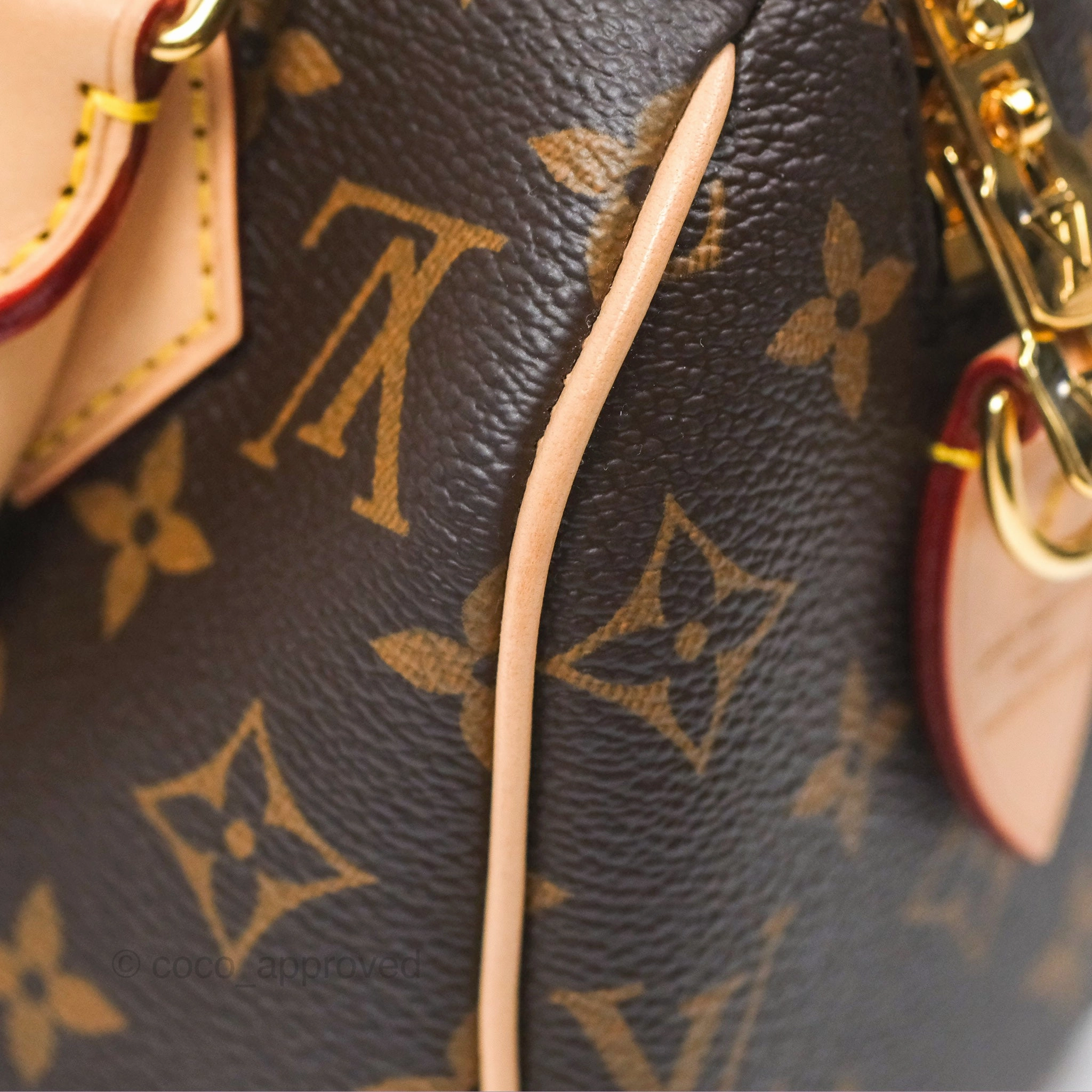 Louis Vuitton Speedy Bandoulire 20 Monogram
