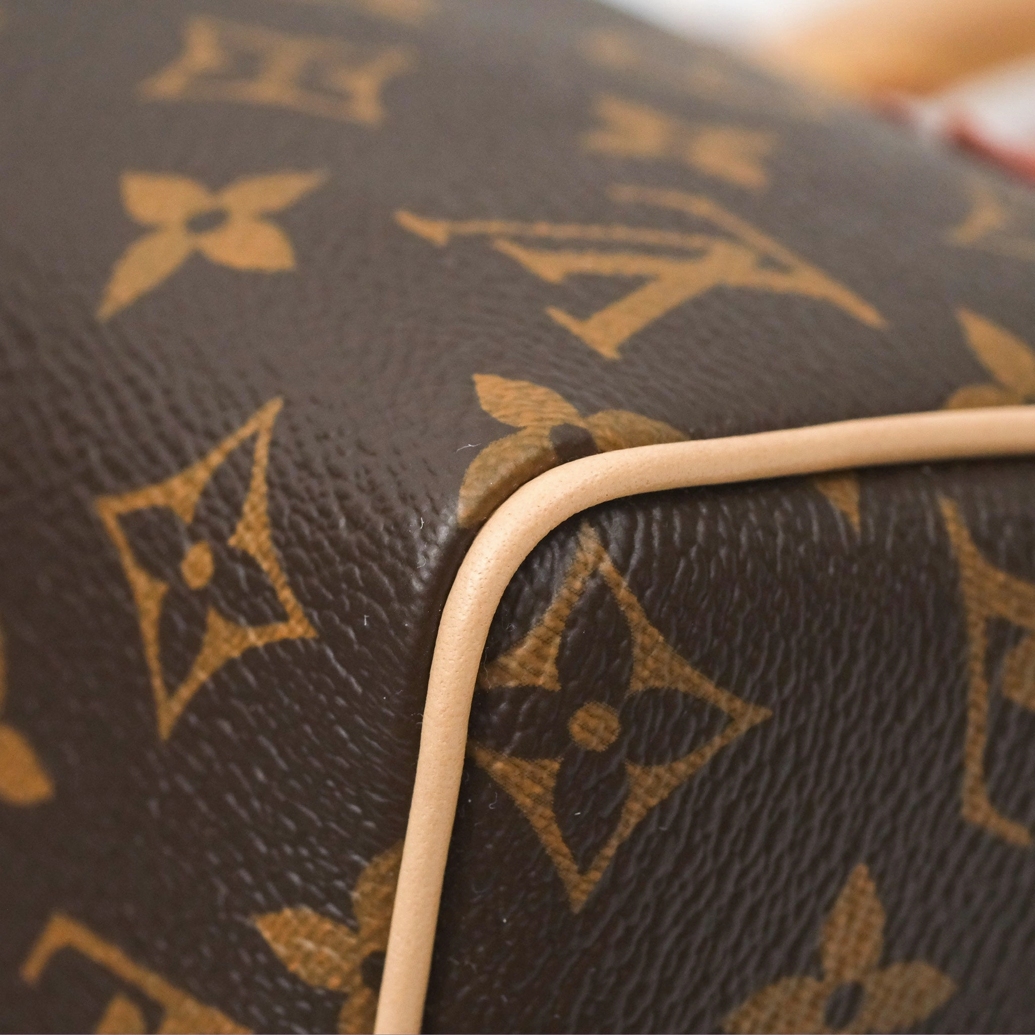 Louis Vuitton Speedy Bandoulire 20 Monogram