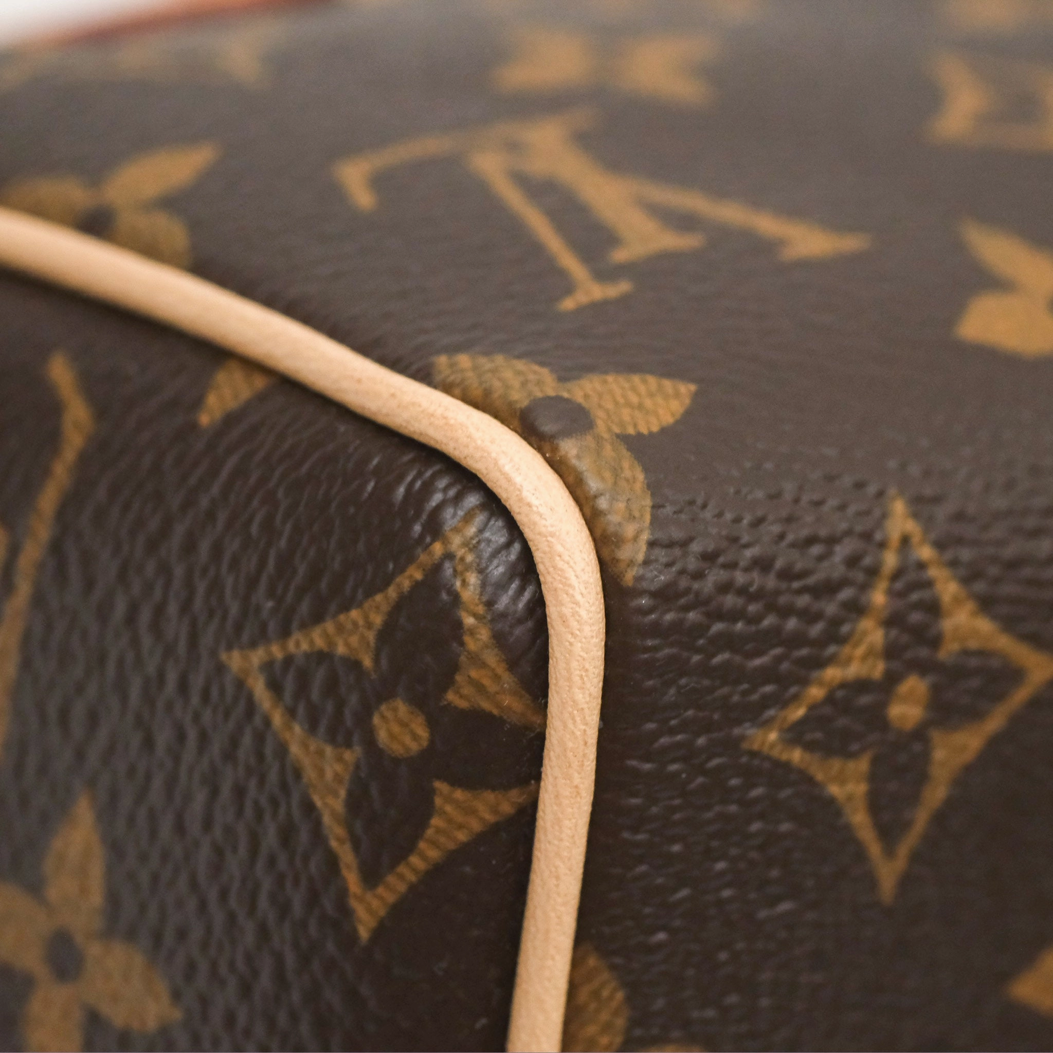 Louis Vuitton Speedy Bandoulire 20 Monogram