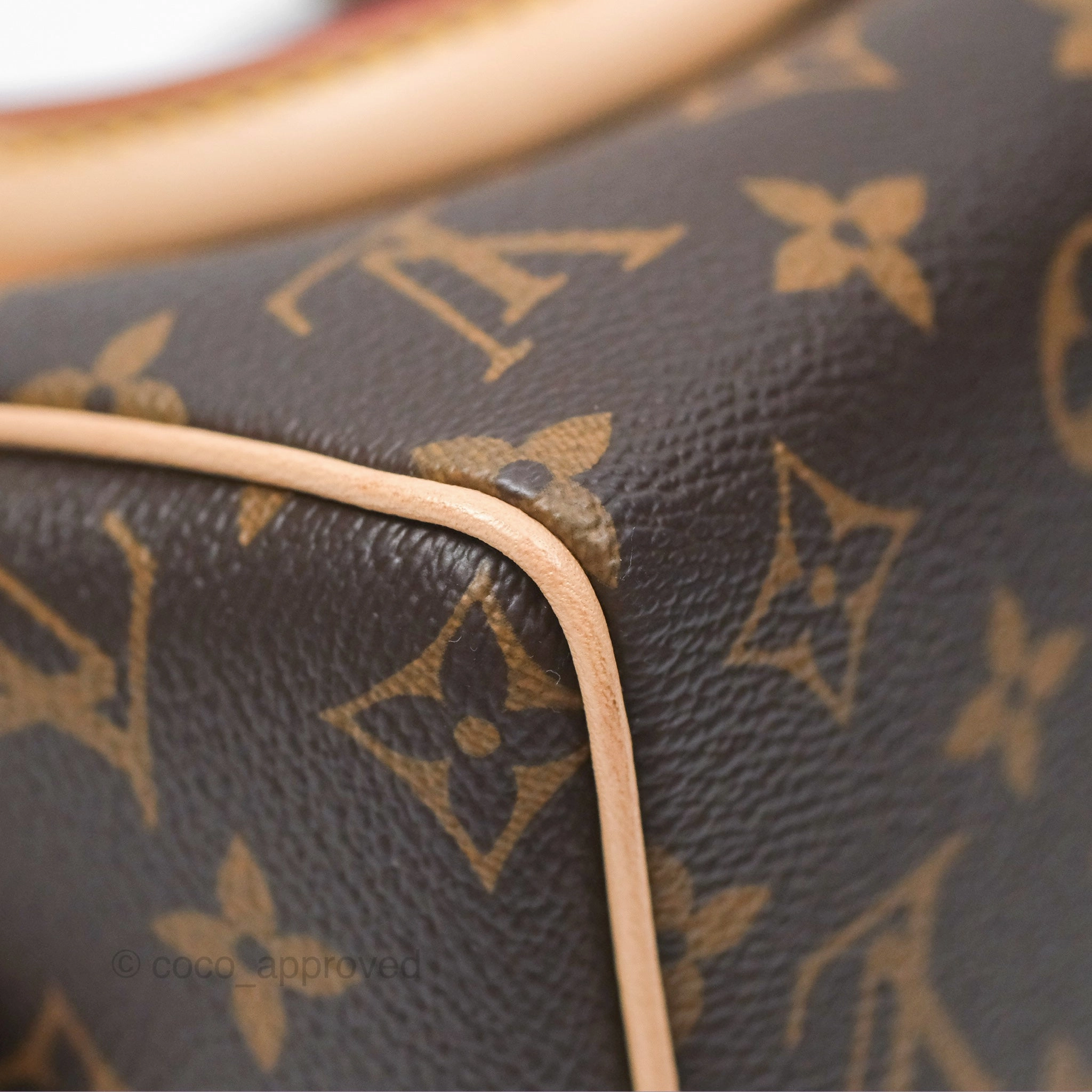 Louis Vuitton Speedy Bandoulire 20 Monogram