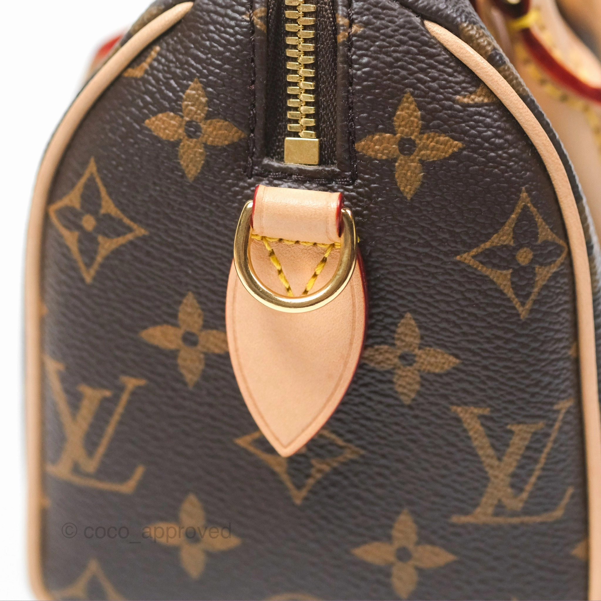 Louis Vuitton Speedy Bandoulire 20 Monogram