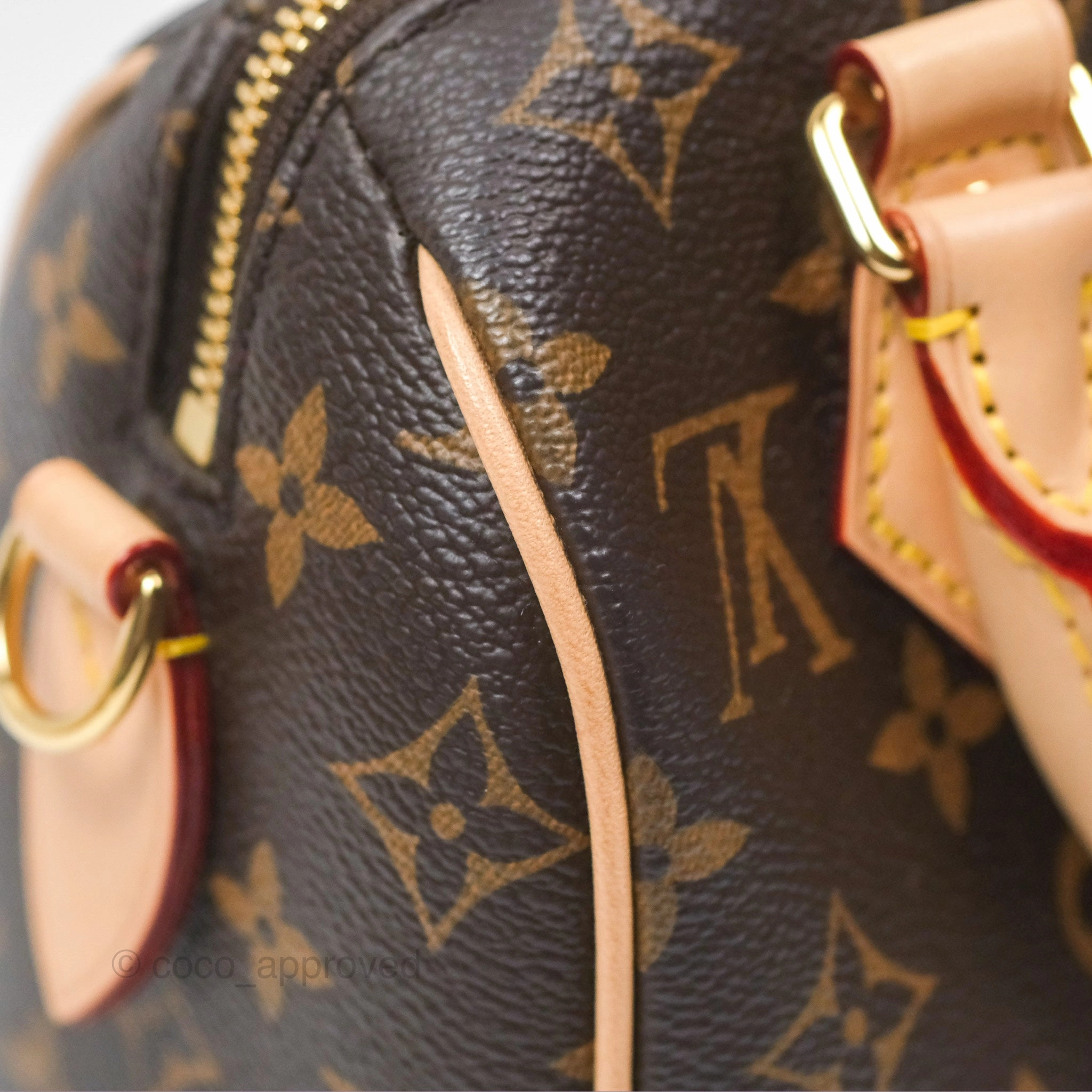 Louis Vuitton Speedy Bandoulire 20 Monogram