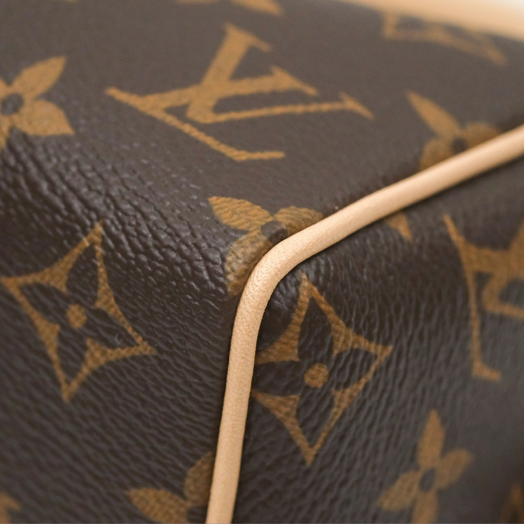 Louis Vuitton Speedy Bandoulire 20 Monogram