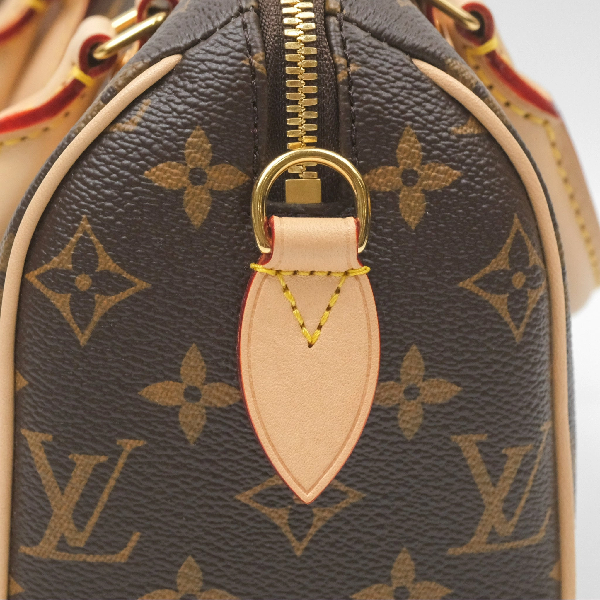 Louis Vuitton Speedy Bandoulire 20 Monogram