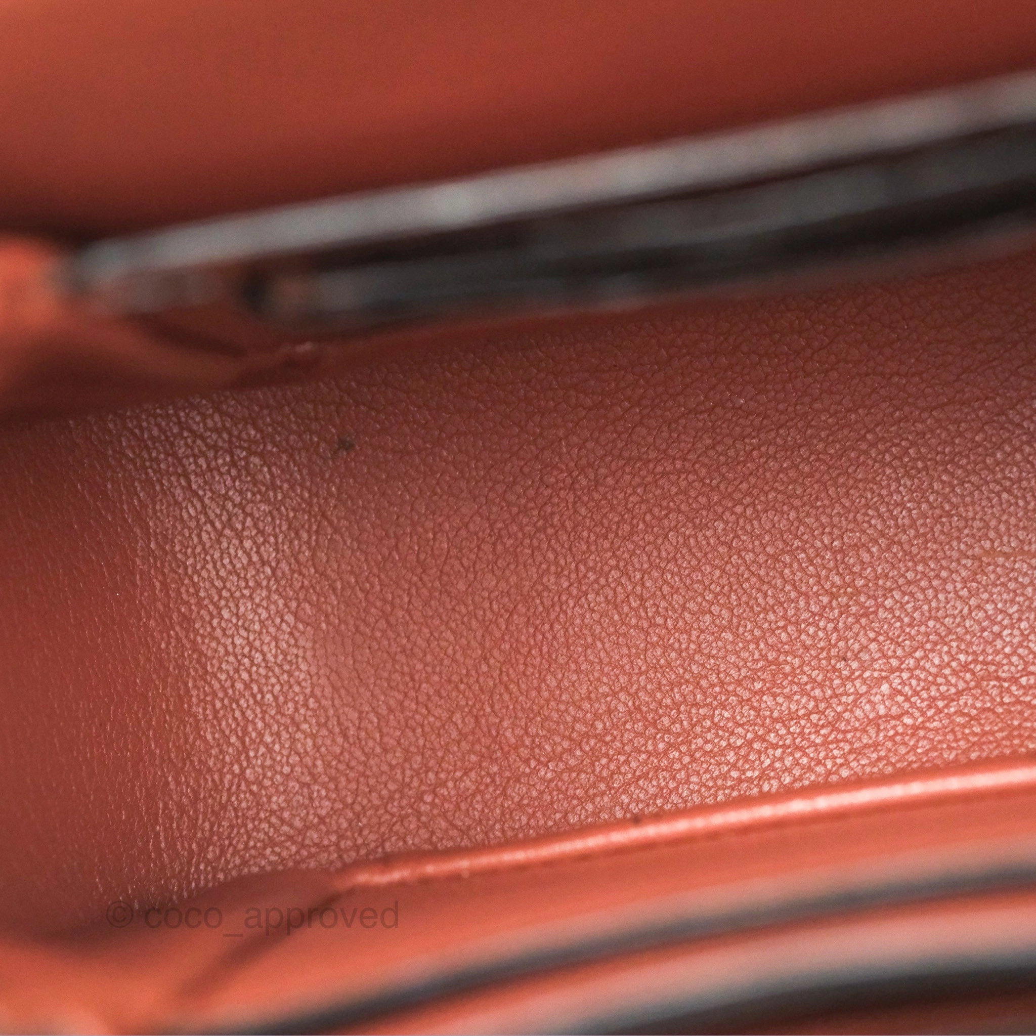 Louis Vuitton Vivienne Bag Brick Red Black
