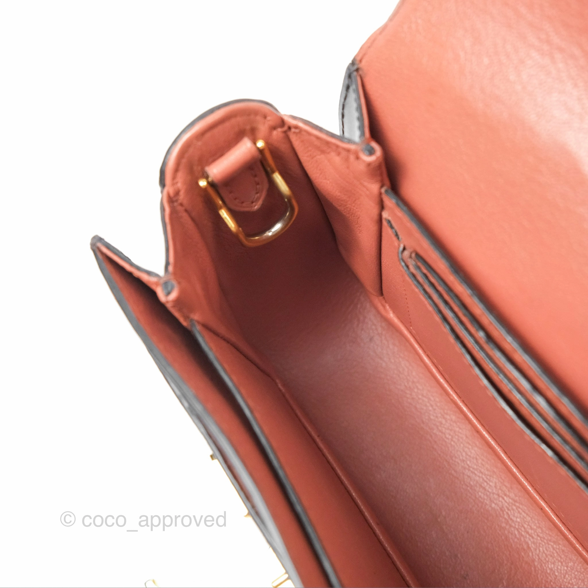 Louis Vuitton Vivienne Bag Brick Red Black