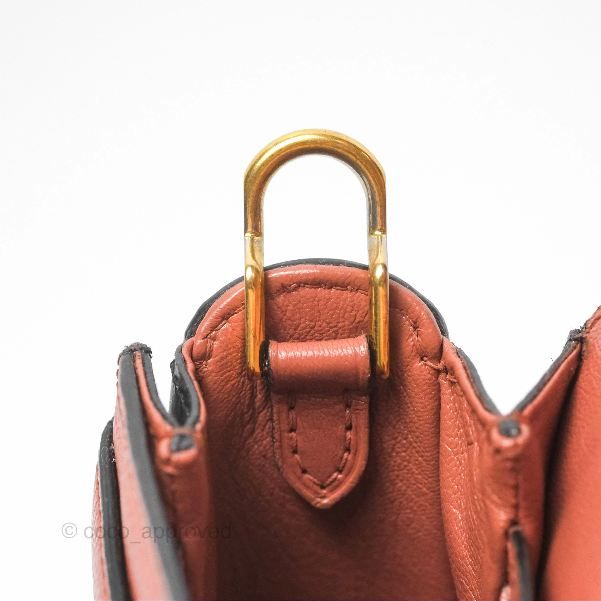 Louis Vuitton Vivienne Bag Brick Red Black
