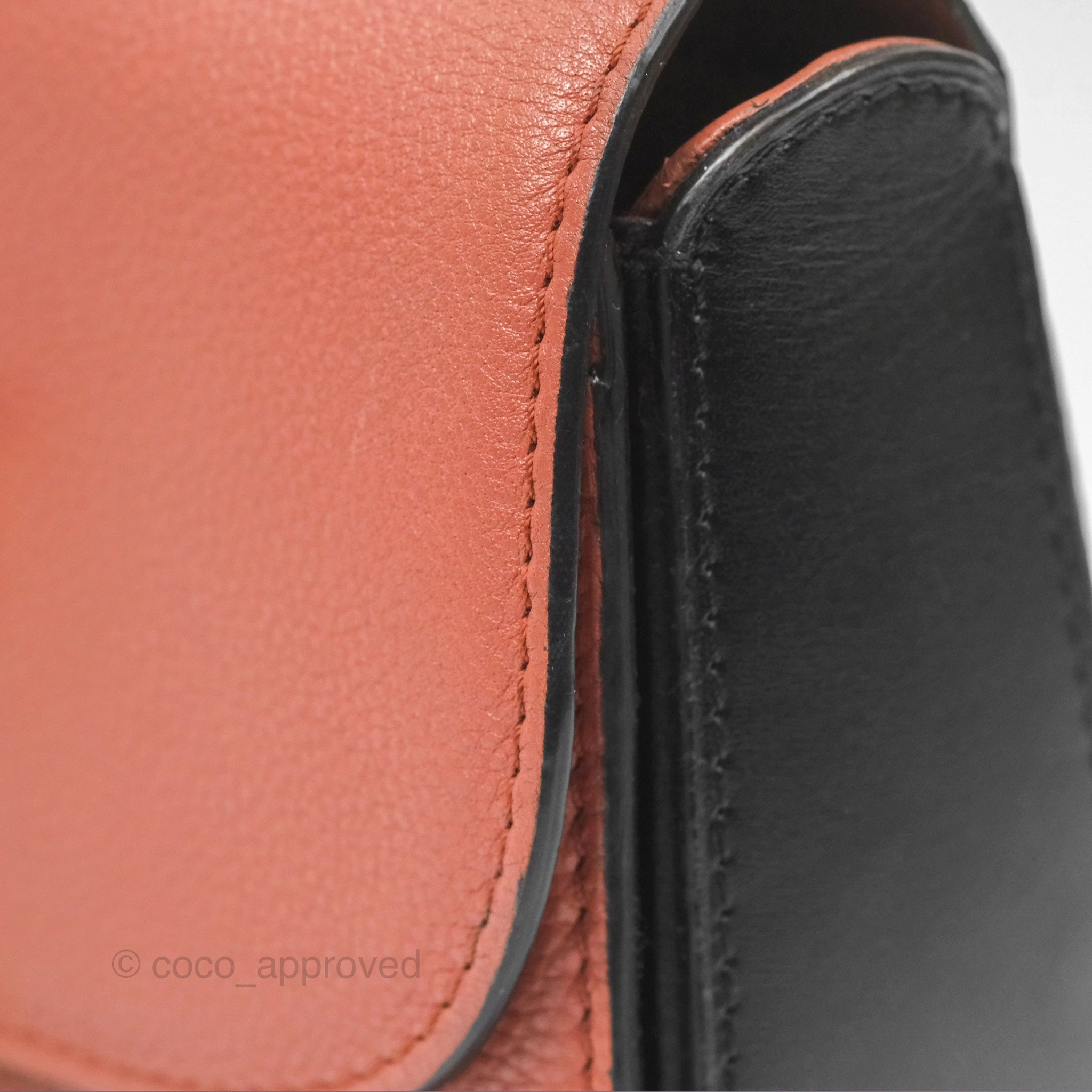 Louis Vuitton Vivienne Bag Brick Red Black
