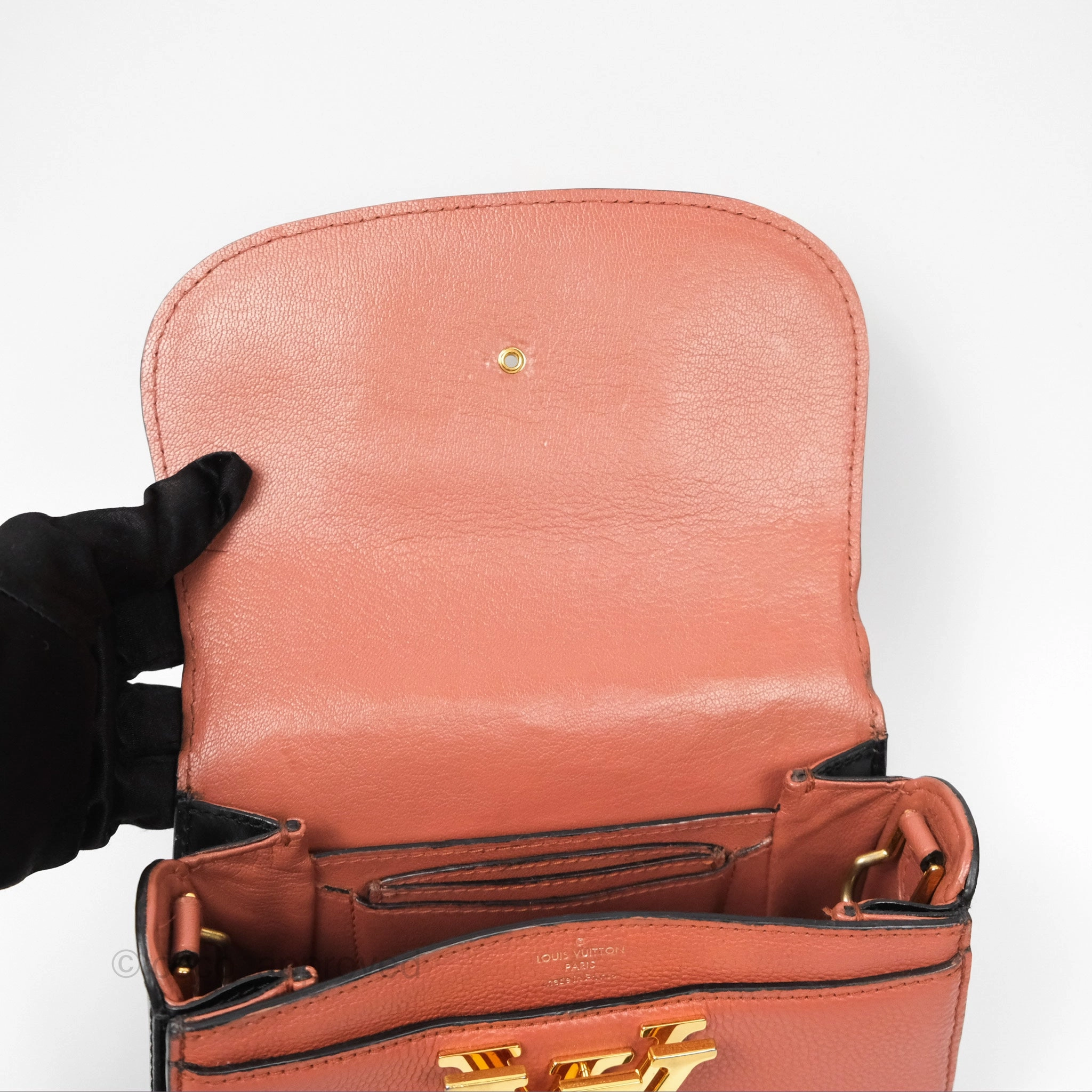 Louis Vuitton Vivienne Bag Brick Red Black