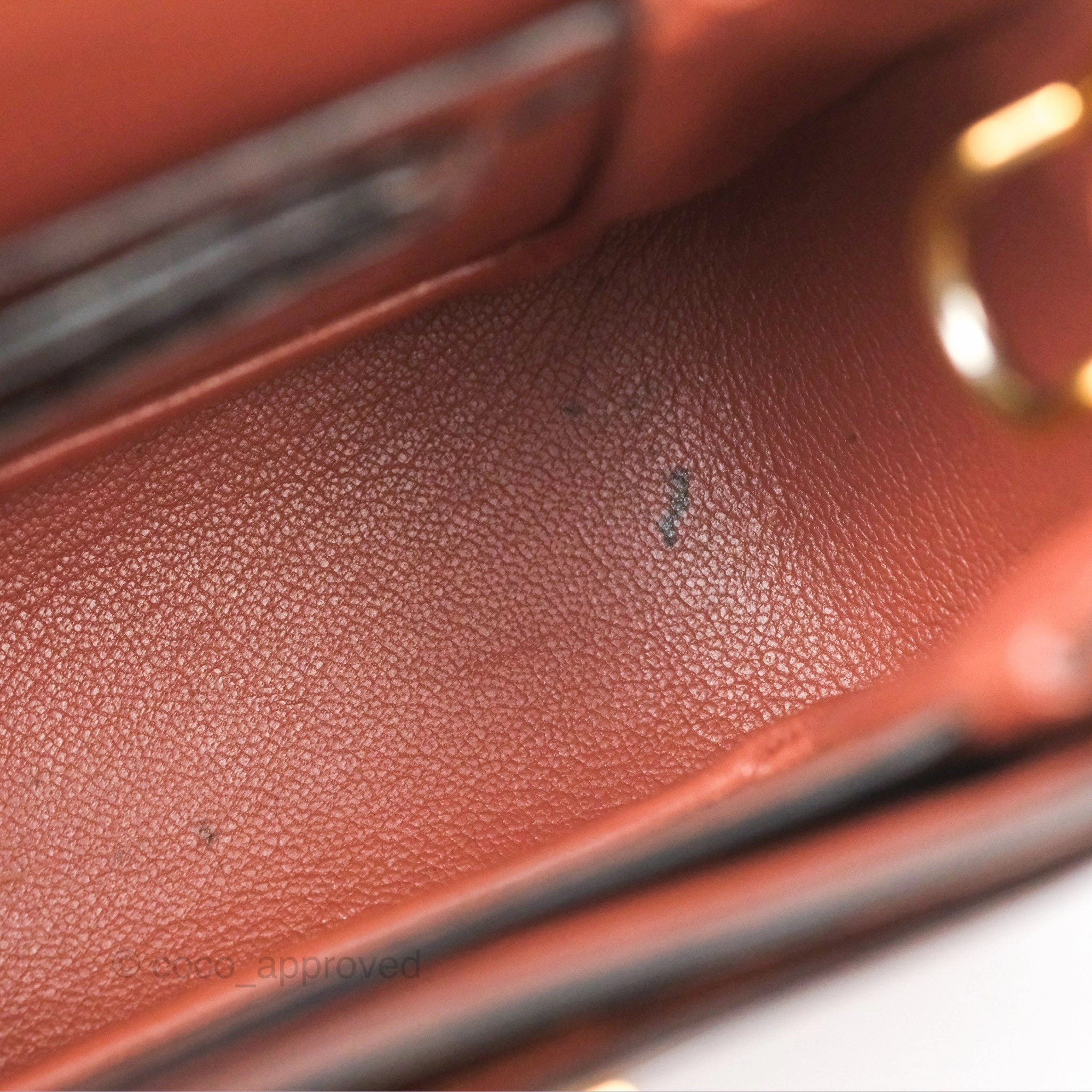 Louis Vuitton Vivienne Bag Brick Red Black