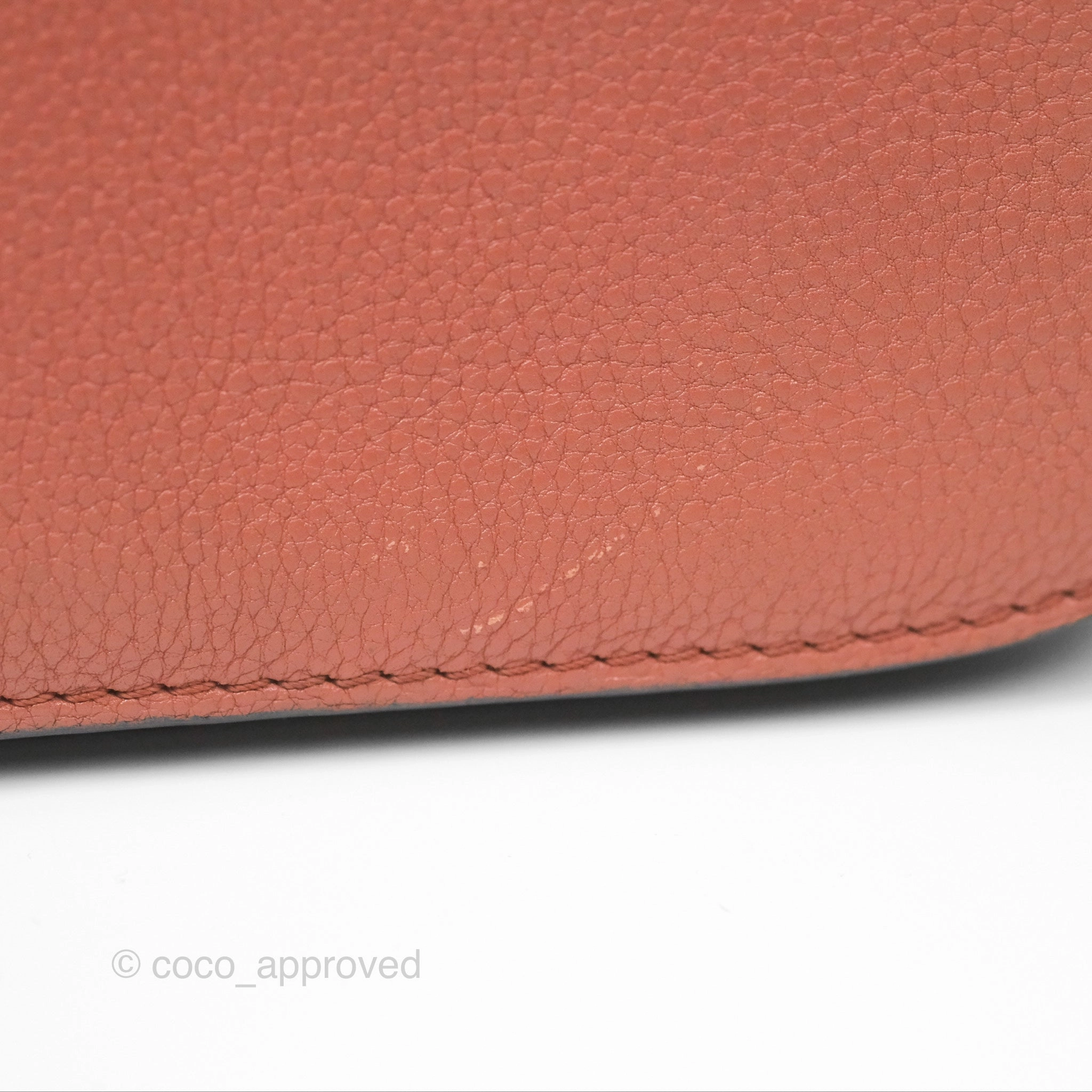 Louis Vuitton Vivienne Bag Brick Red Black