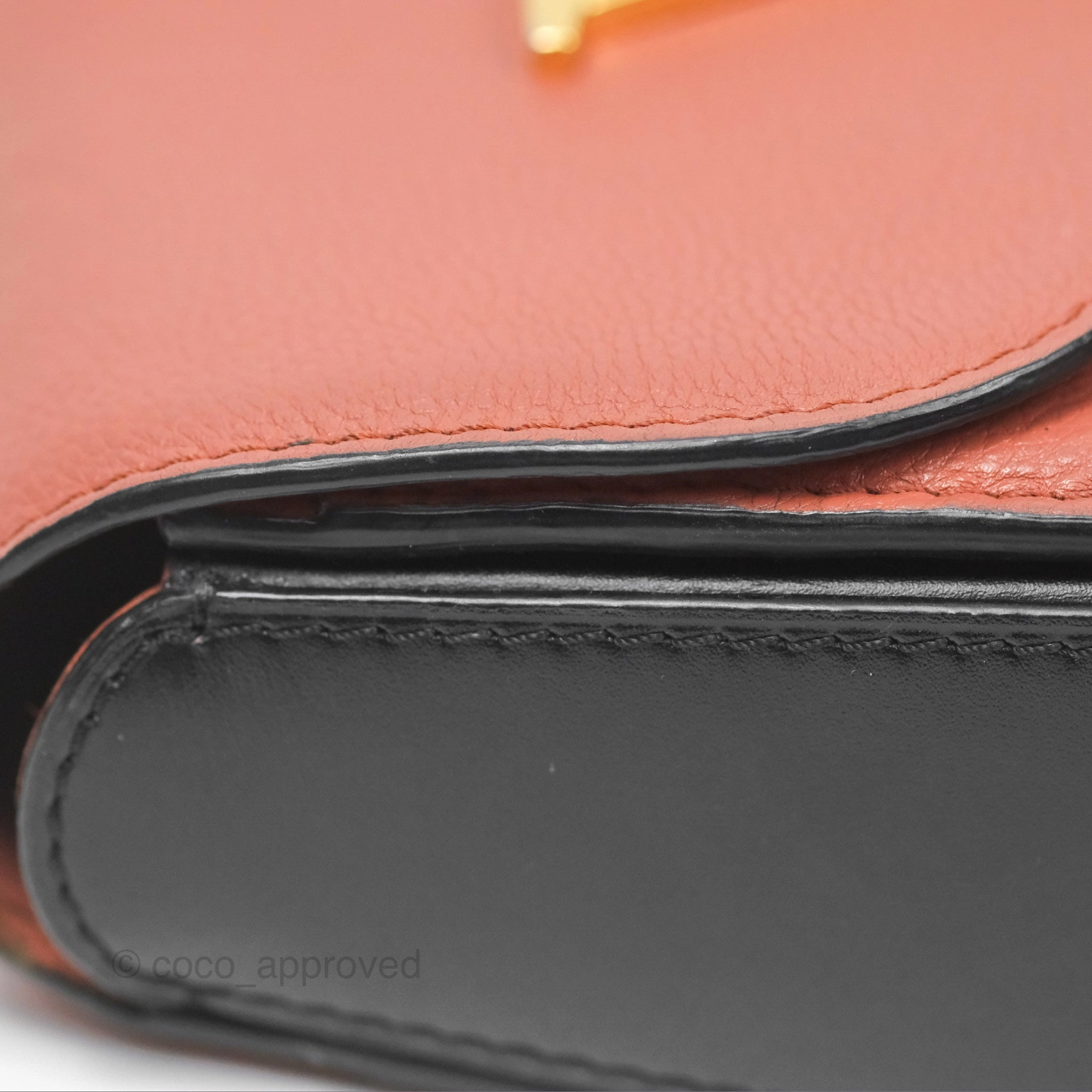 Louis Vuitton Vivienne Bag Brick Red Black