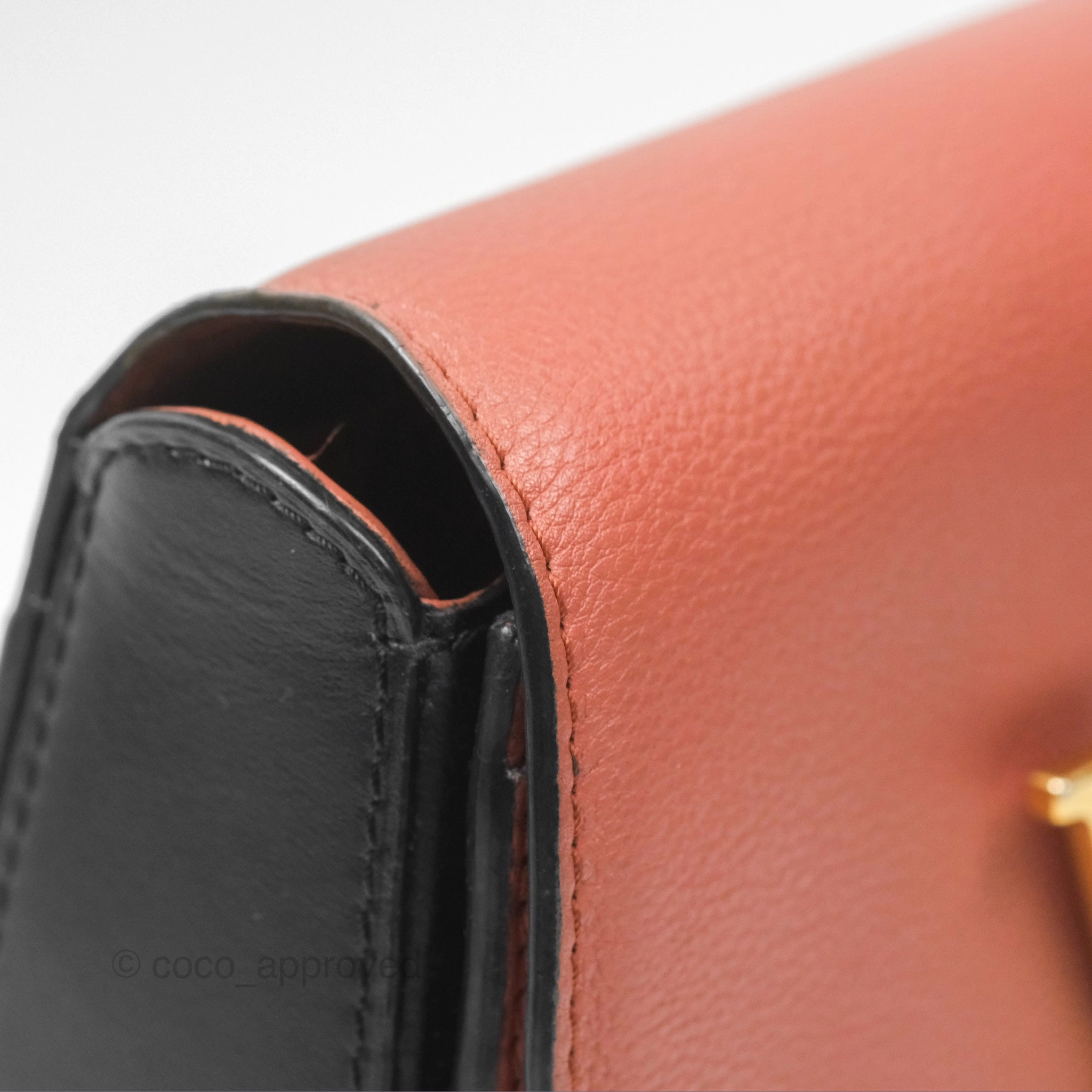 Louis Vuitton Vivienne Bag Brick Red Black