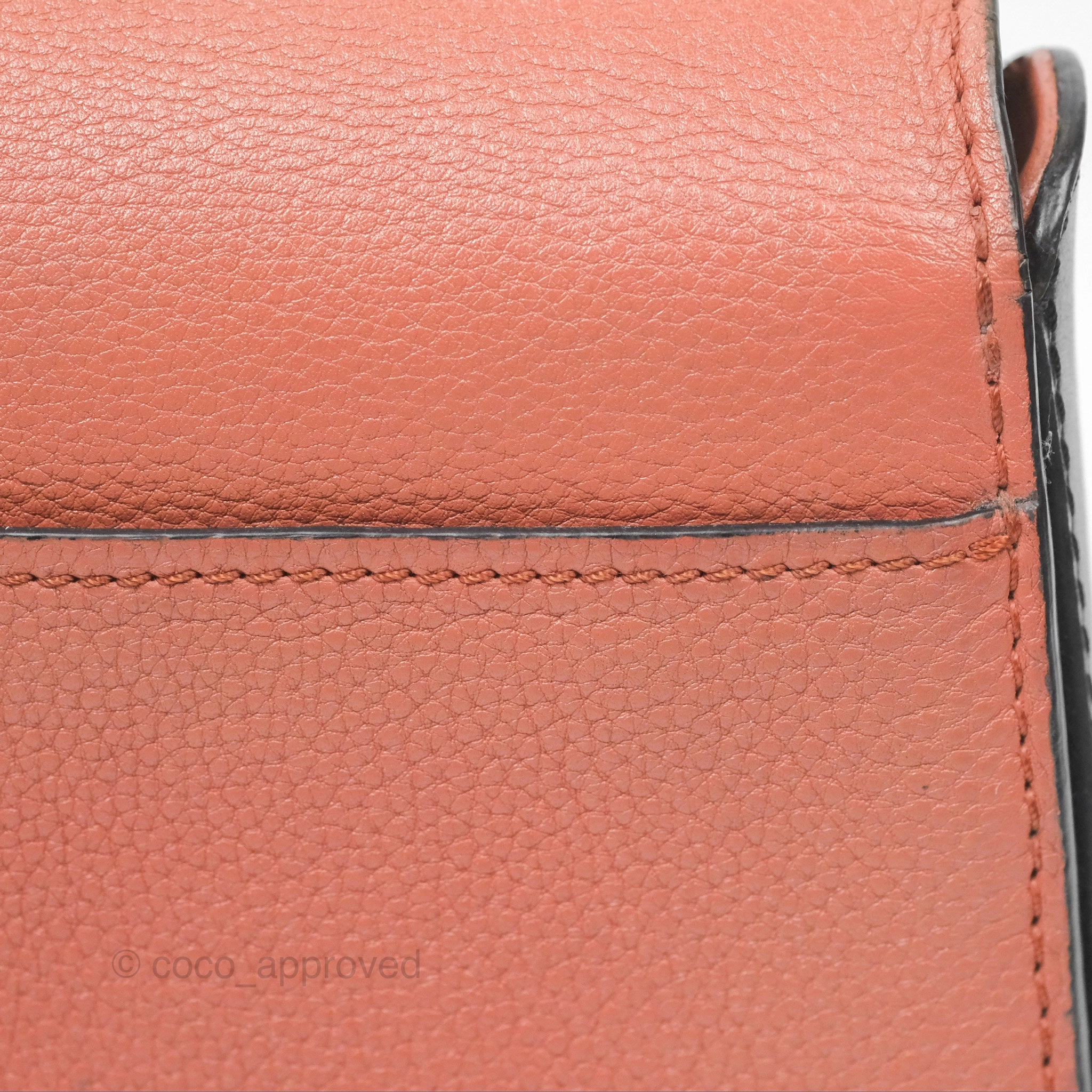 Louis Vuitton Vivienne Bag Brick Red Black