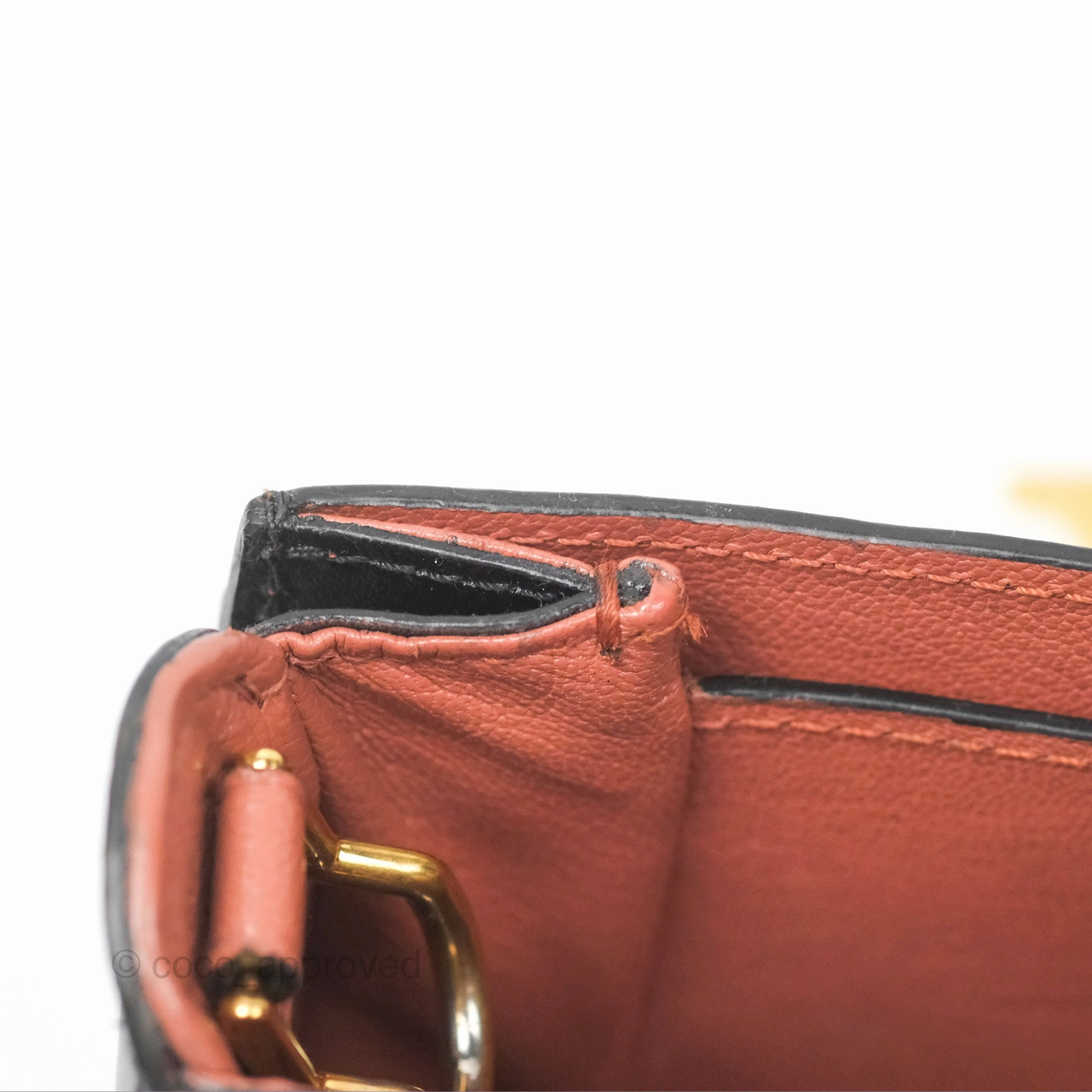 Louis Vuitton Vivienne Bag Brick Red Black