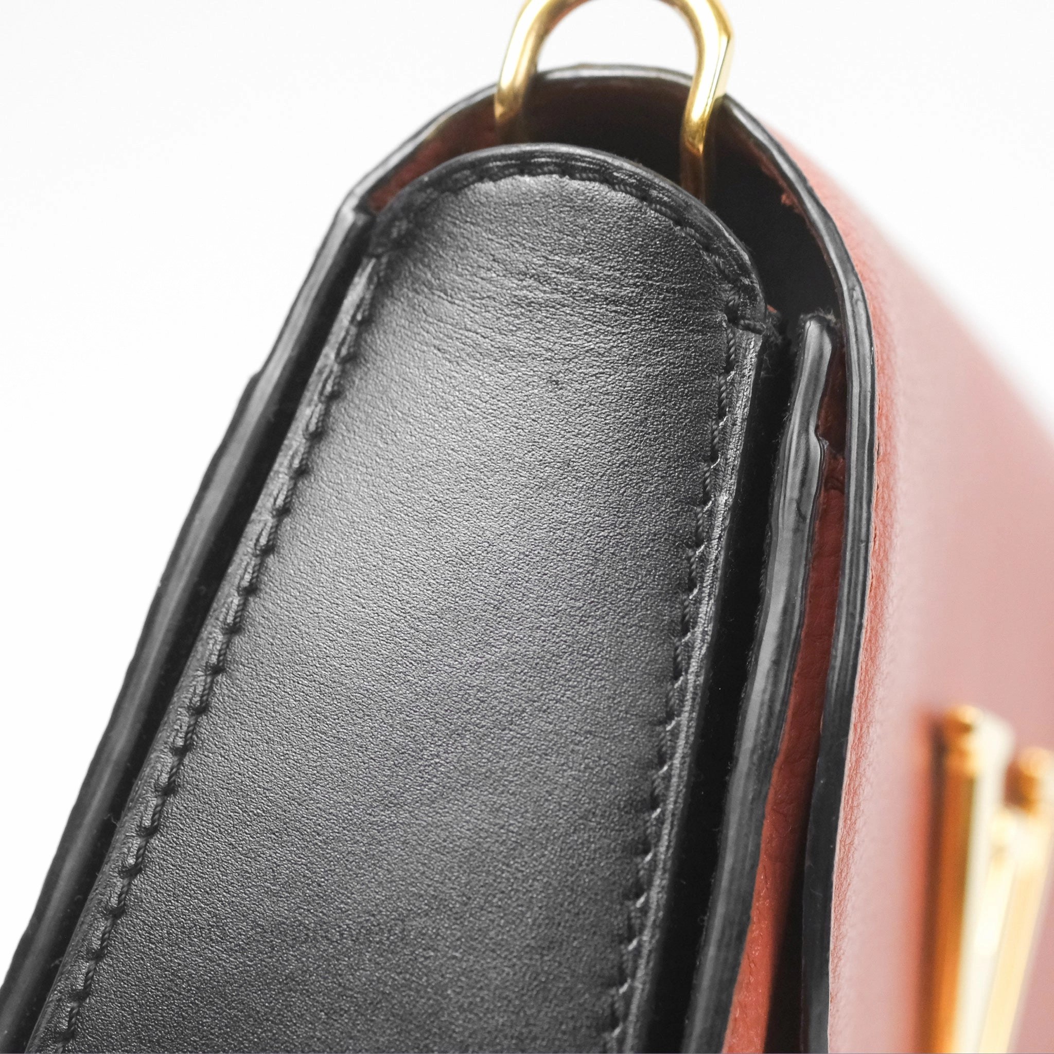 Louis Vuitton Vivienne Bag Brick Red Black