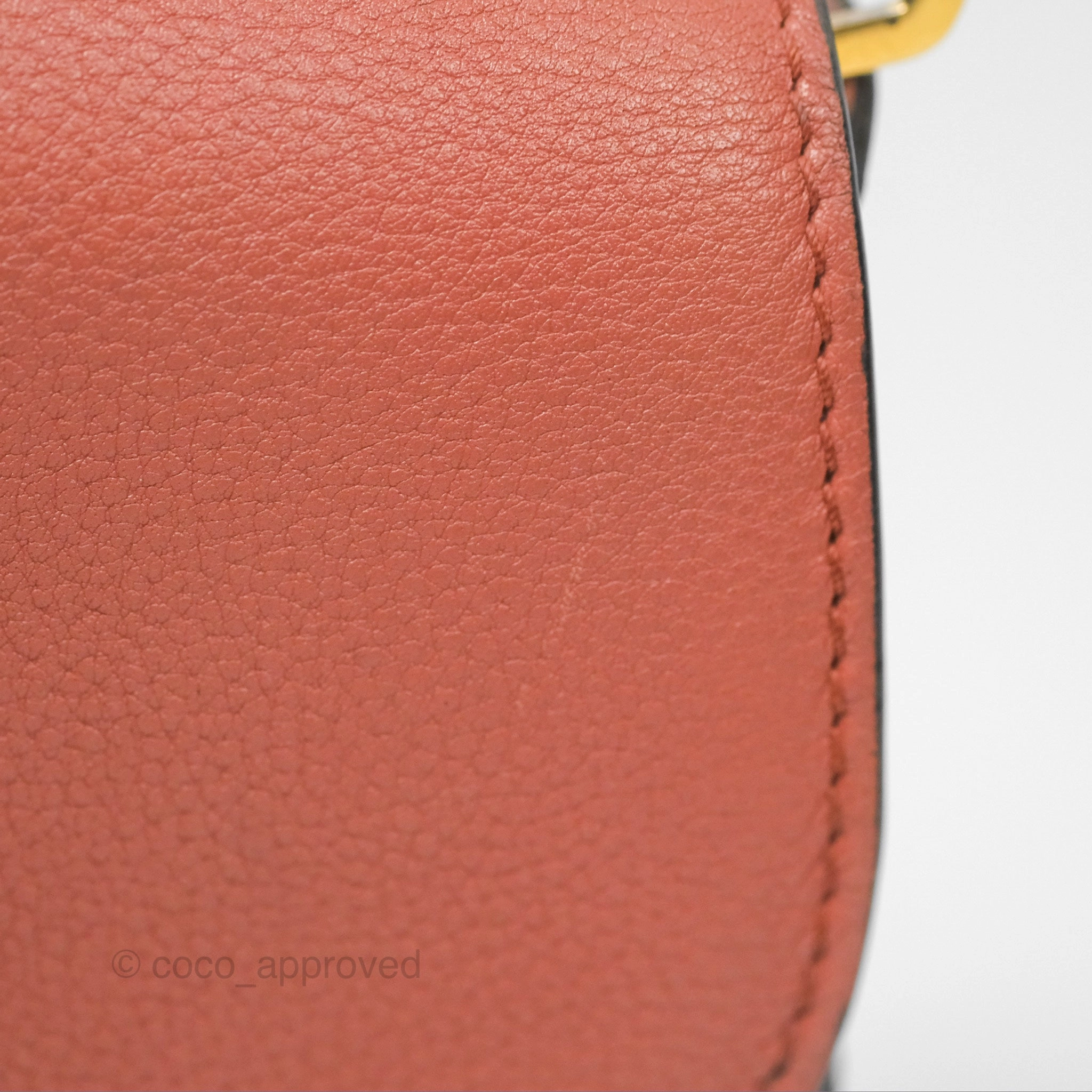 Louis Vuitton Vivienne Bag Brick Red Black