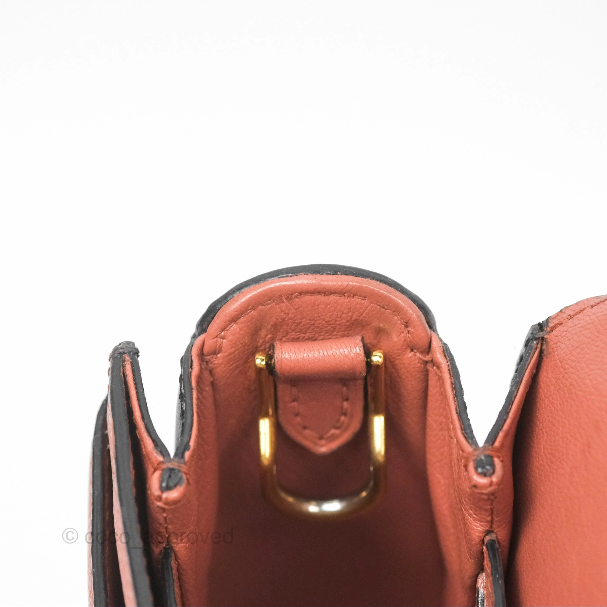 Louis Vuitton Vivienne Bag Brick Red Black