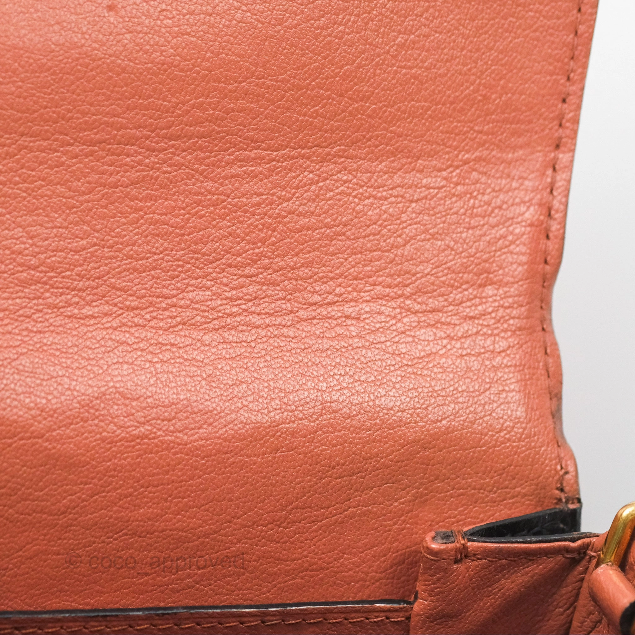 Louis Vuitton Vivienne Bag Brick Red Black