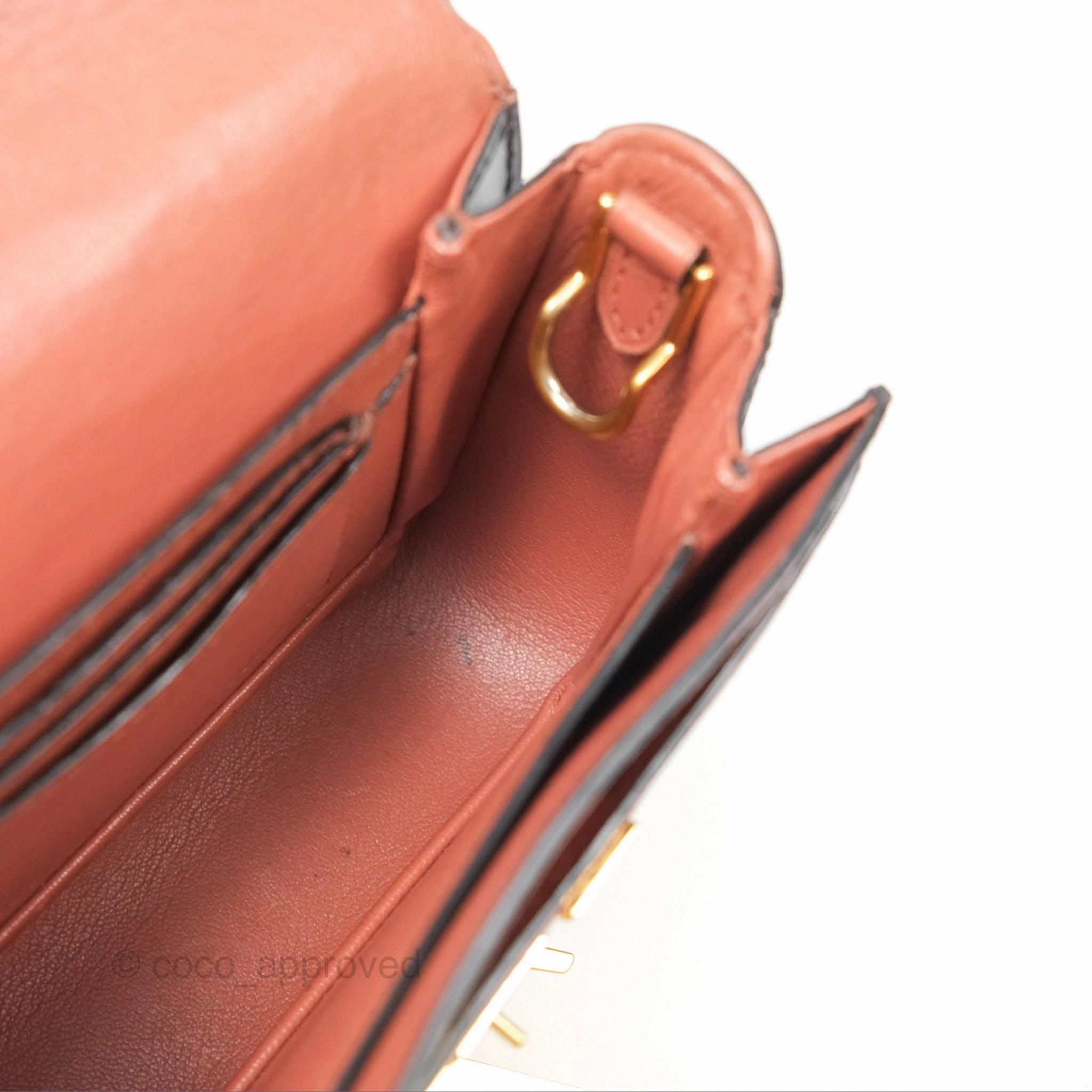 Louis Vuitton Vivienne Bag Brick Red Black