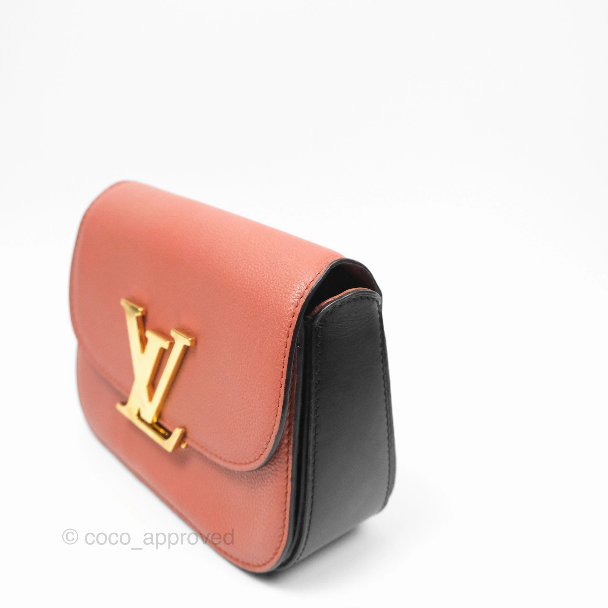 Louis Vuitton Vivienne Bag Brick Red Black