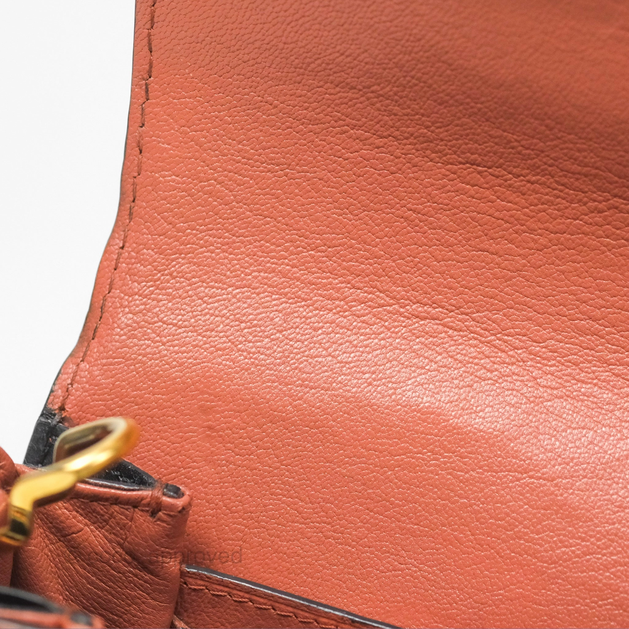 Louis Vuitton Vivienne Bag Brick Red Black