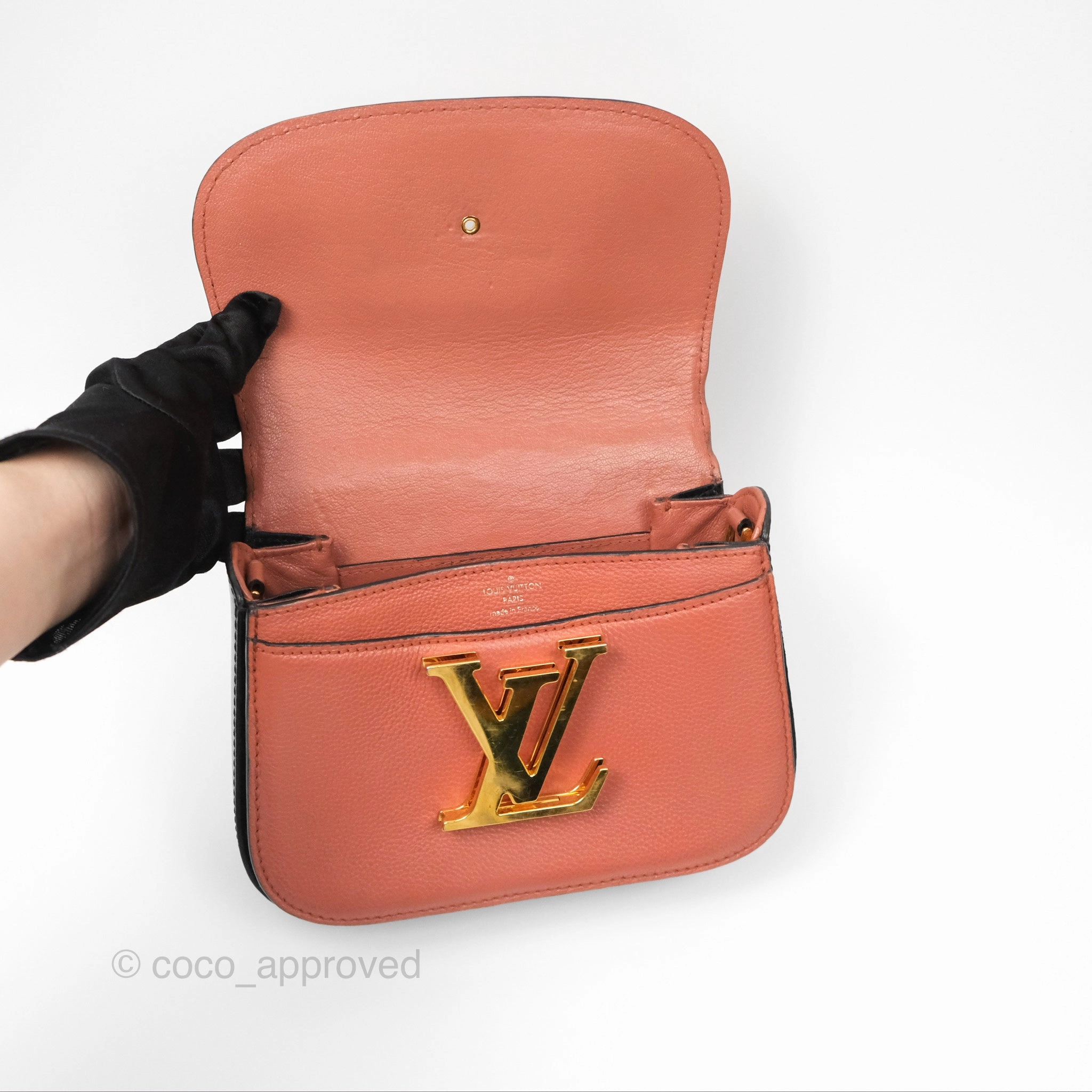 Louis Vuitton Vivienne Bag Brick Red Black