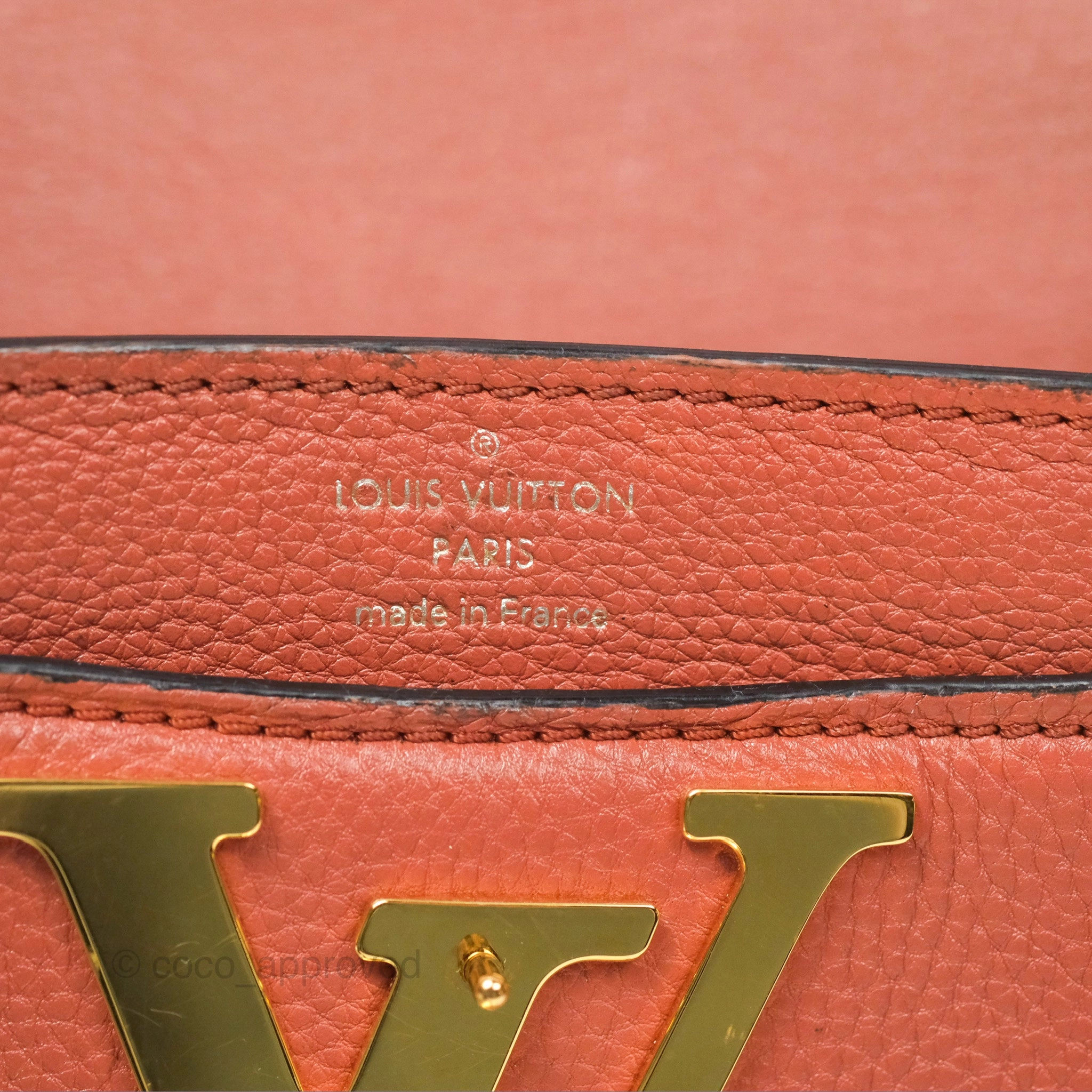 Louis Vuitton Vivienne Bag Brick Red Black