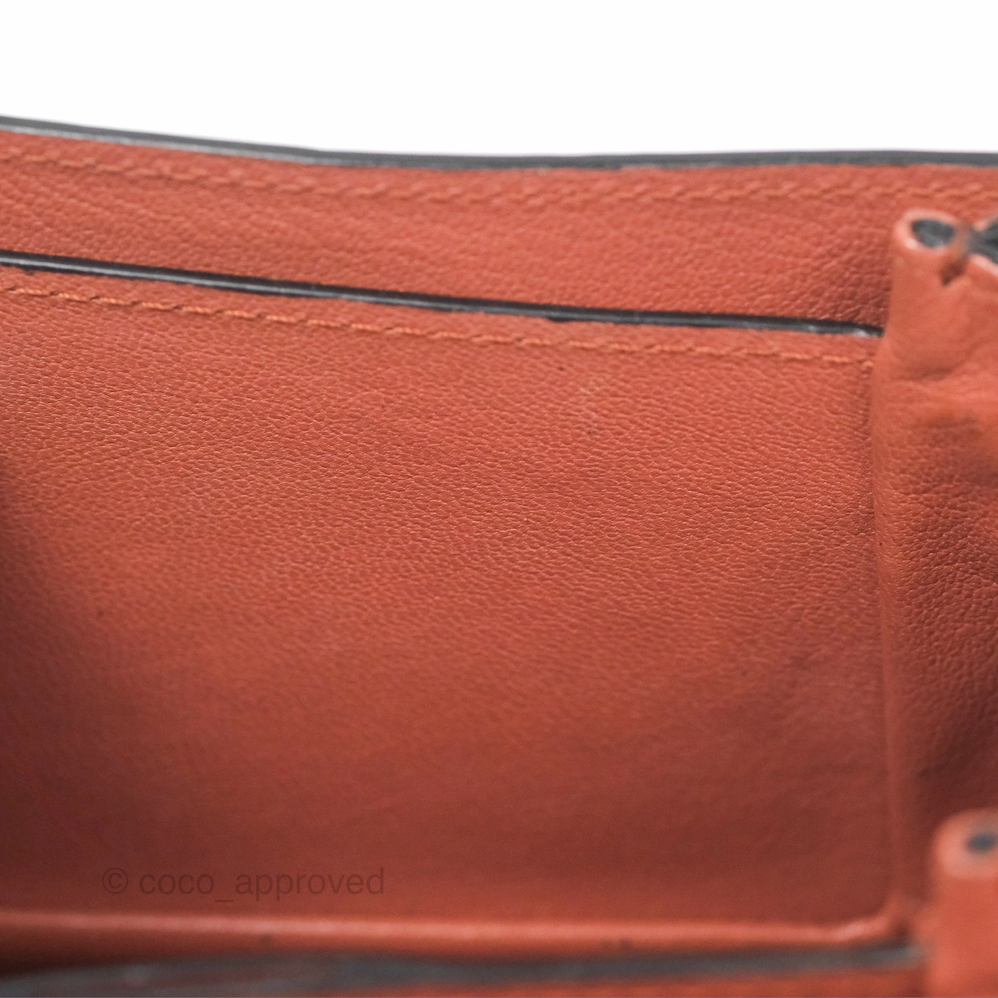 Louis Vuitton Vivienne Bag Brick Red Black