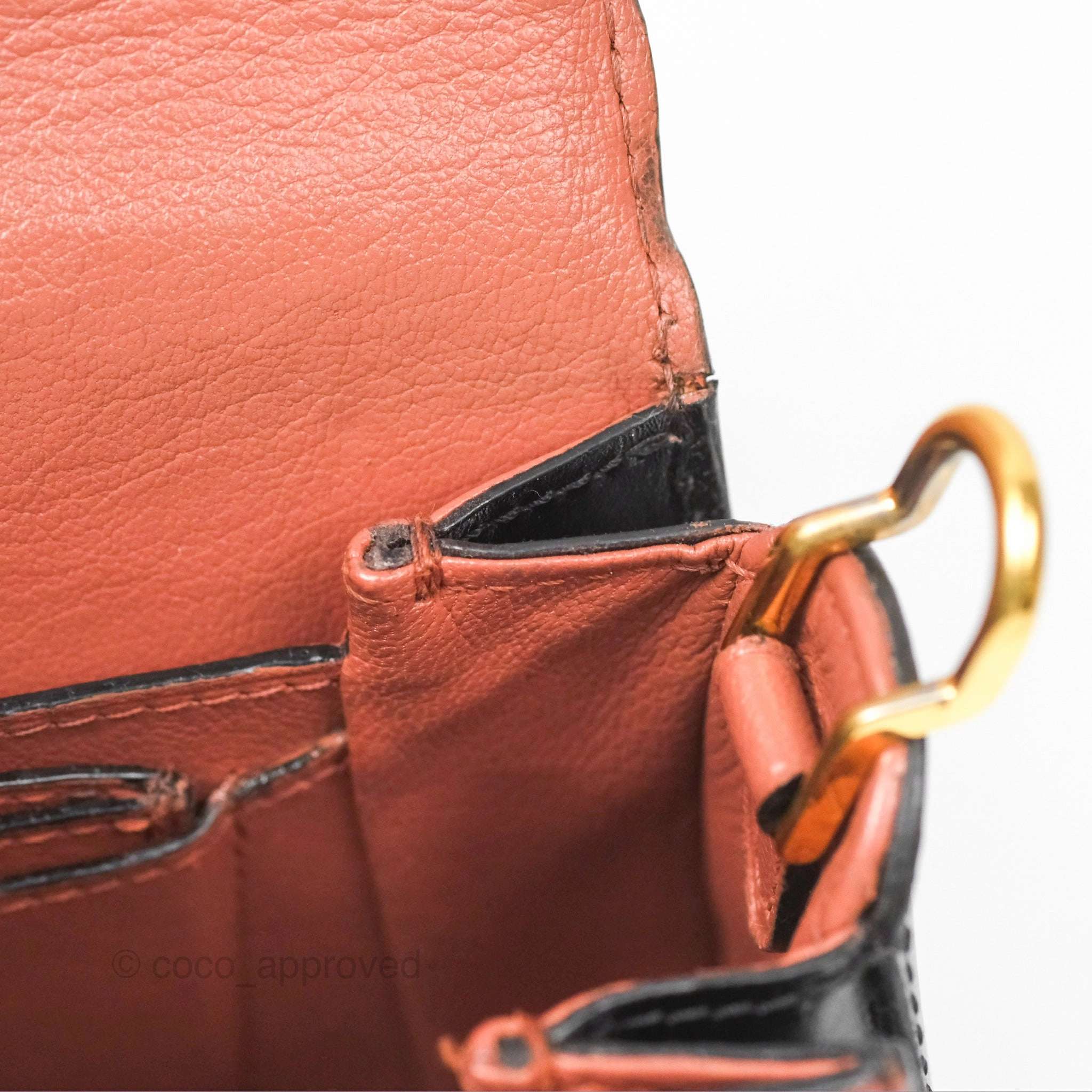 Louis Vuitton Vivienne Bag Brick Red Black
