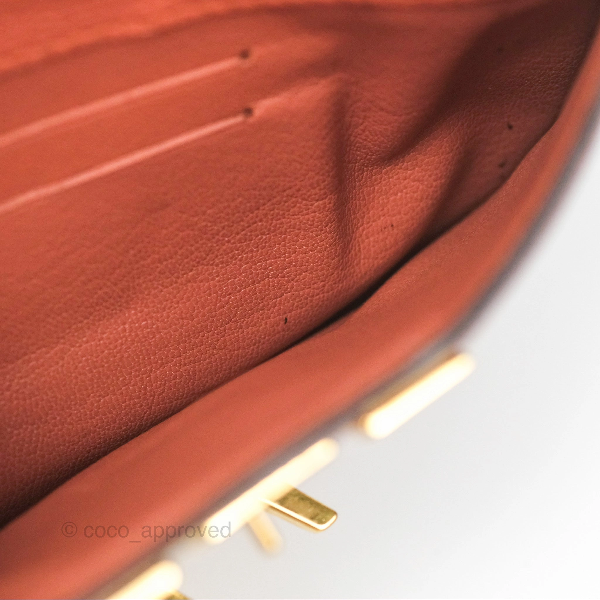 Louis Vuitton Vivienne Bag Brick Red Black