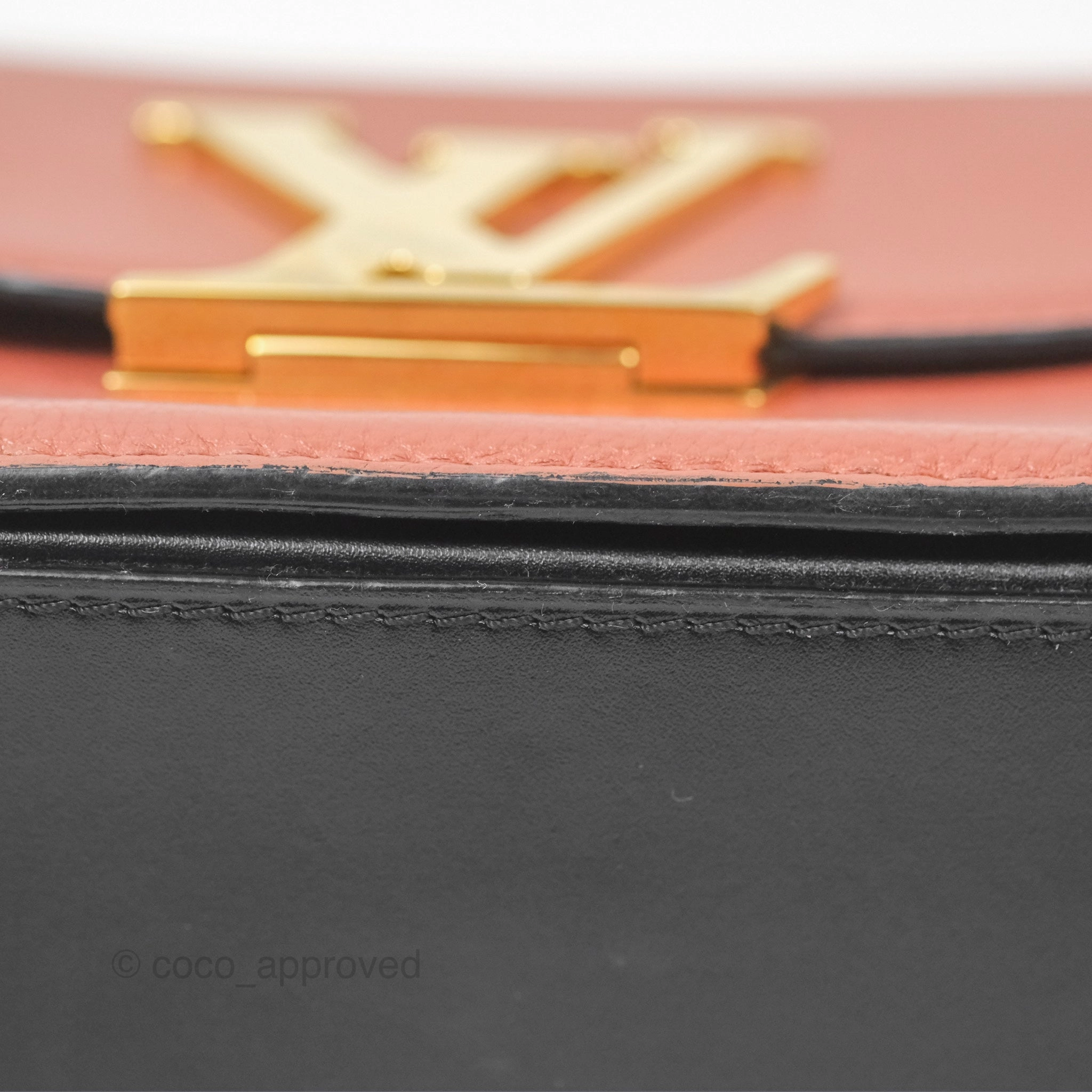 Louis Vuitton Vivienne Bag Brick Red Black