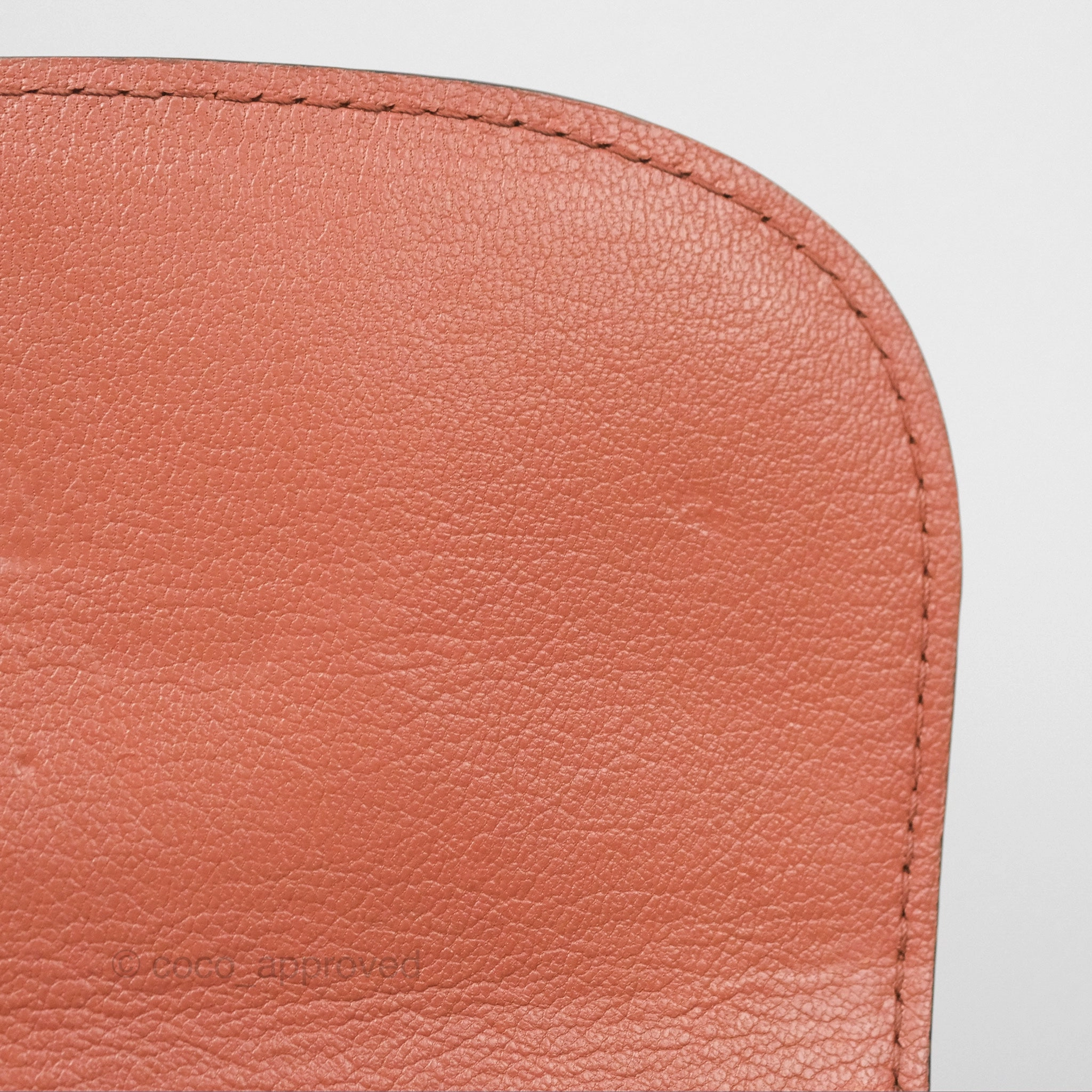 Louis Vuitton Vivienne Bag Brick Red Black